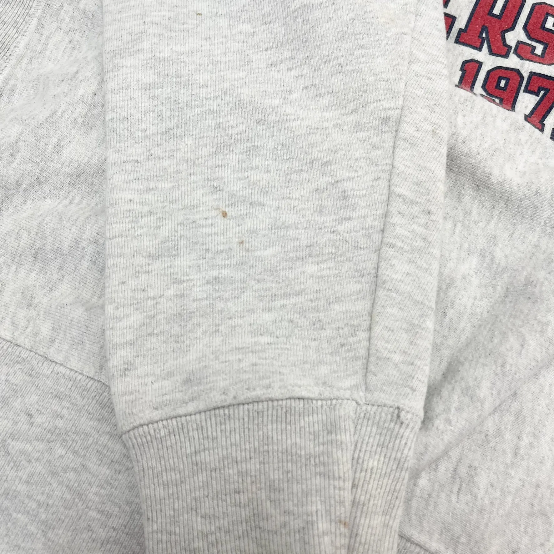 F- Vintage Champion Reverse Weave Liberty University Text Crewneck sold by HG Vintage product image thumbnail 4