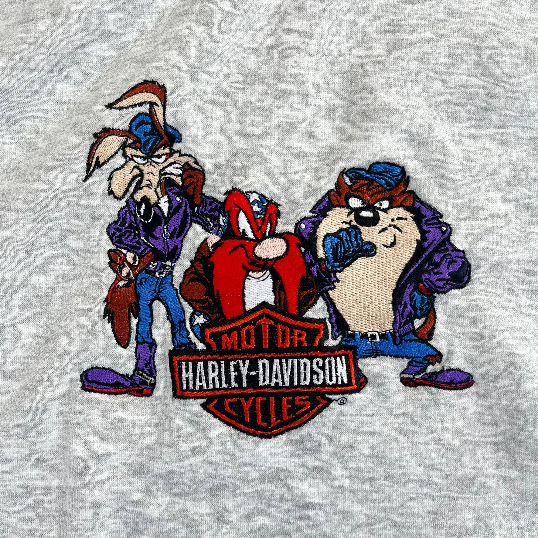 F- Vintage Harley Davidson Looney Tunes Taz/Coyote/Sam Embroidered Hoodie sold by HG Vintage product image thumbnail 2