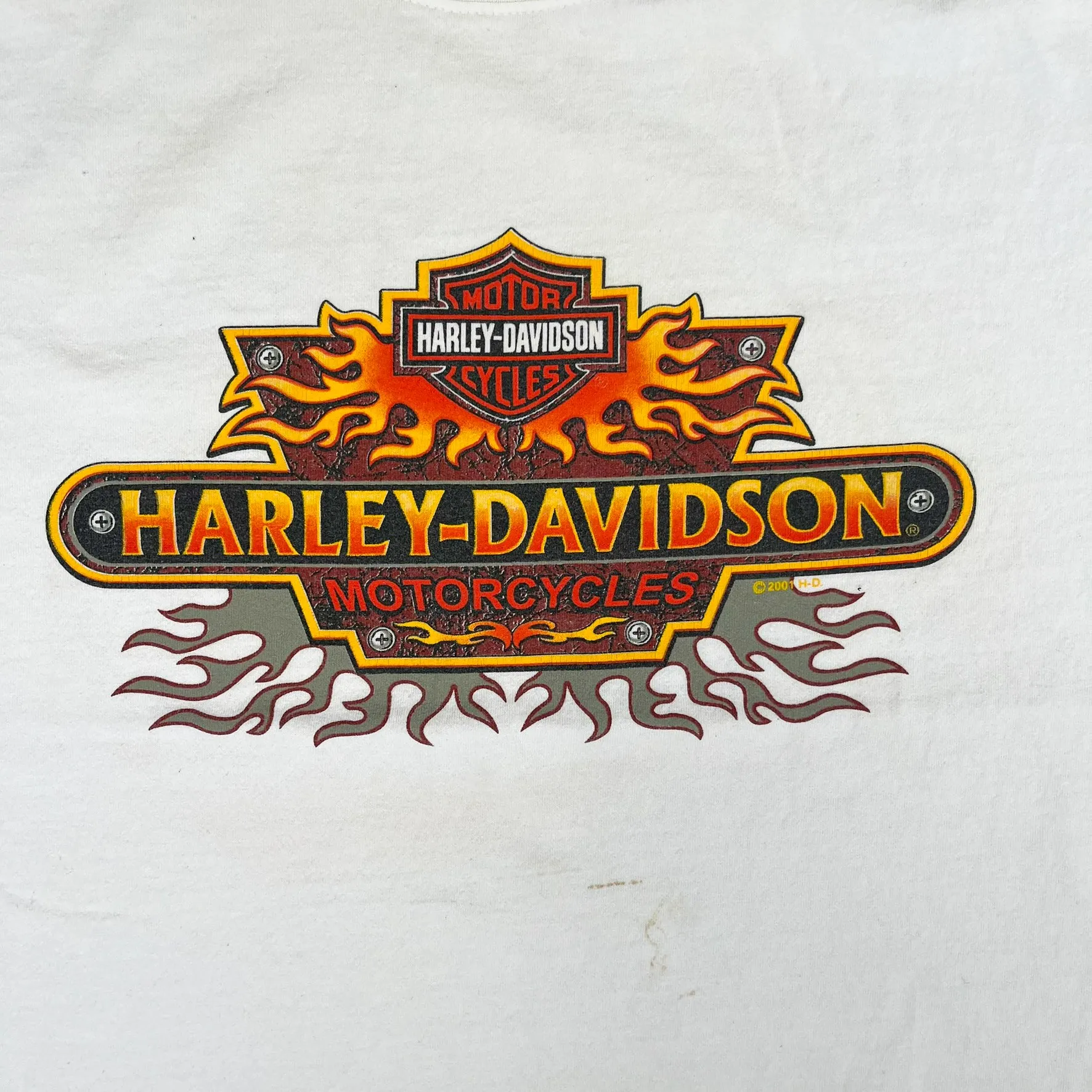 F- Vintage '01 Harley Davidson Flames Graphic & Logo Tee sold by HG Vintage product image thumbnail 2