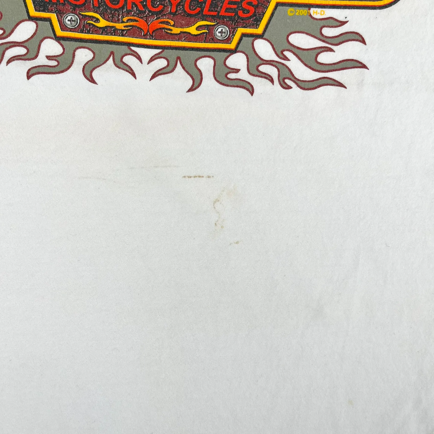 F- Vintage '01 Harley Davidson Flames Graphic & Logo Tee sold by HG Vintage product image thumbnail 4
