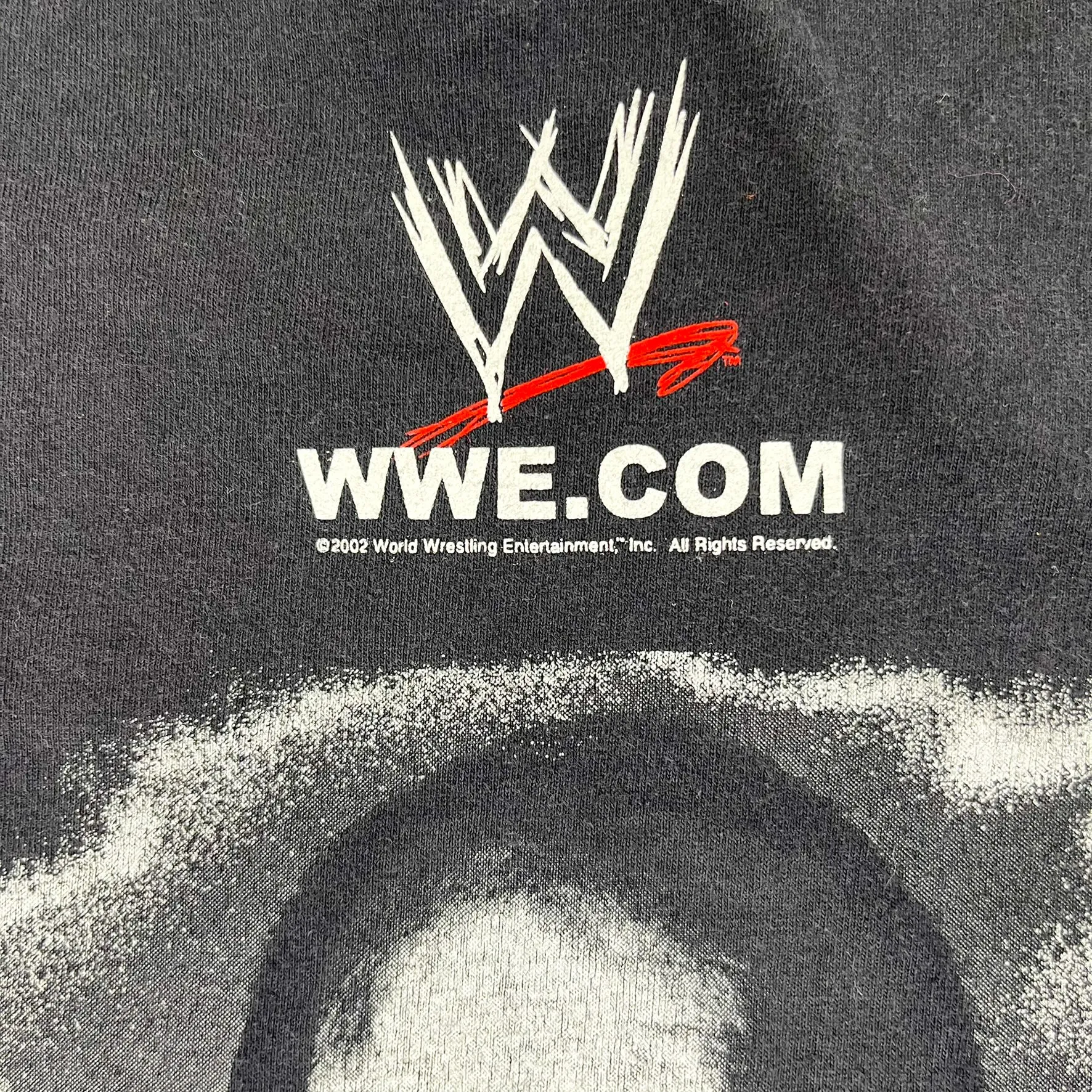 F- Vintage '02 WWE Niagara Falls The Rock Bring It Tee sold by HG Vintage product image thumbnail 5