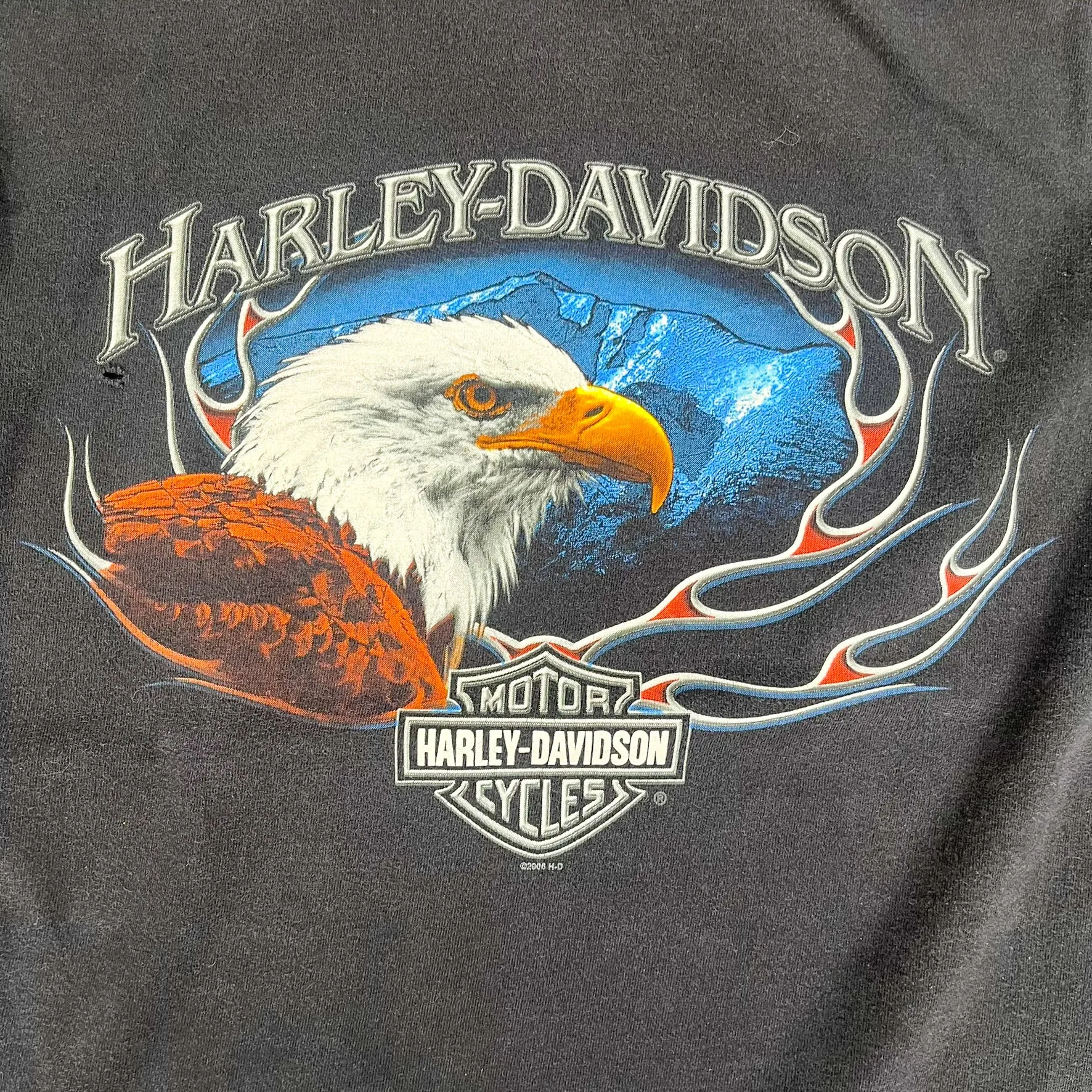 F- Vintage '06 Harley Davidson Minneapolis St-Paul Long Sleeve Tee sold by HG Vintage product image thumbnail 2