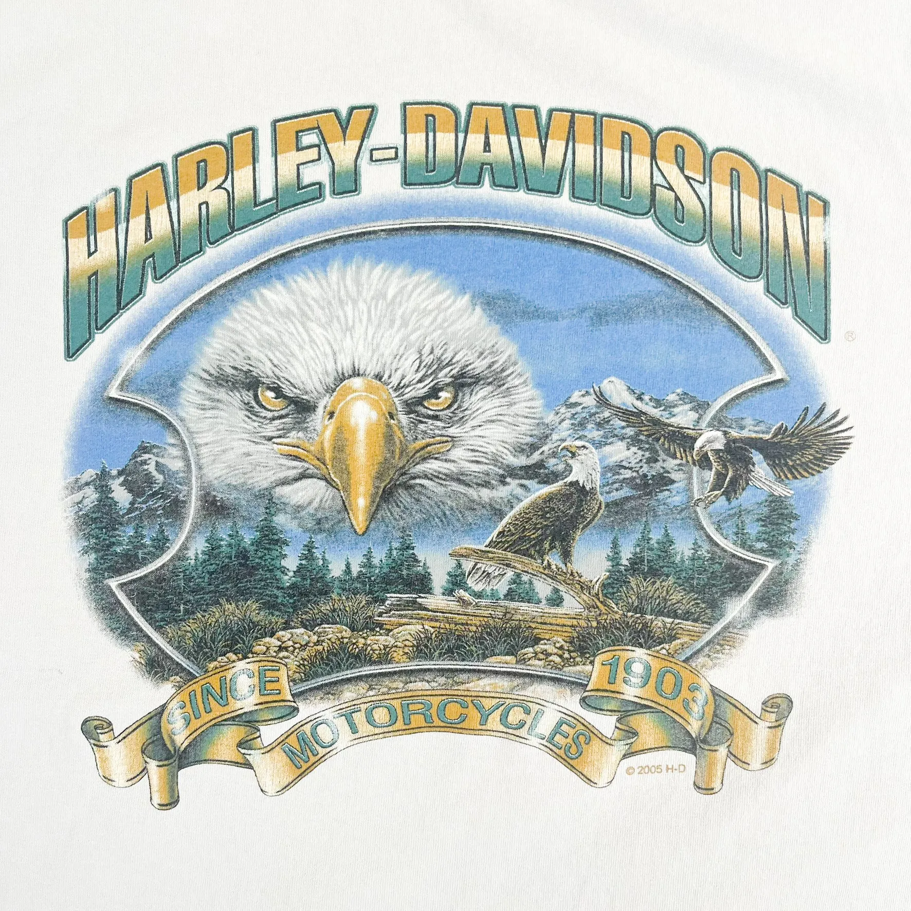 F- Vintage '05 Harley Davidson Kitchener Ontario Tee sold by HG Vintage product image thumbnail 2