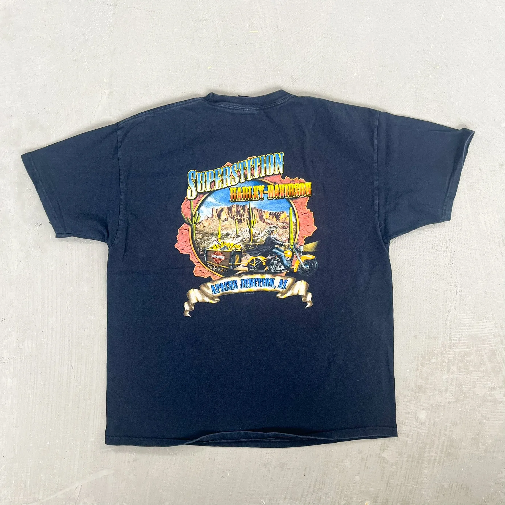 F- 2011 Harley Davidson Arizona Graphic Tee sold by HG Vintage product image thumbnail 4
