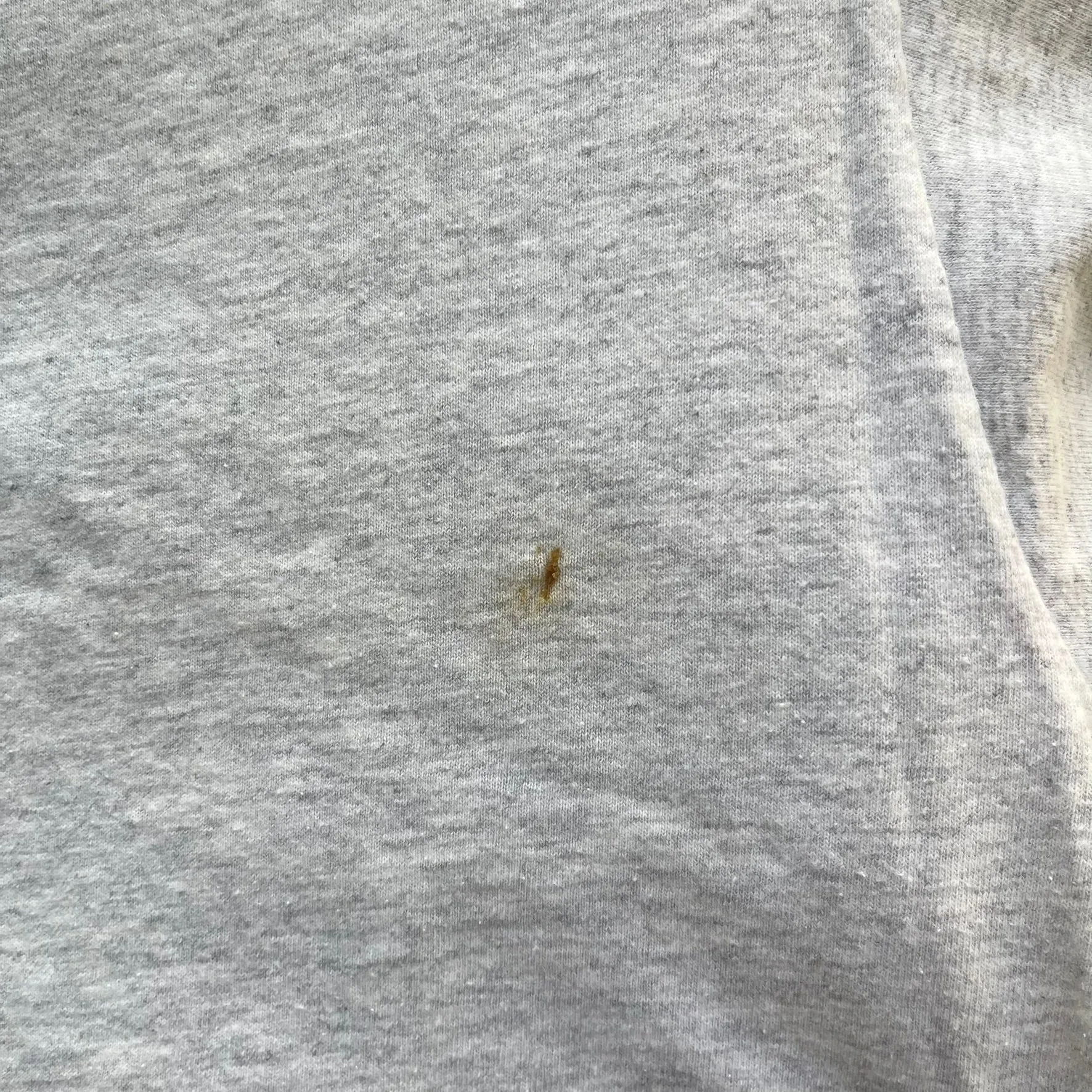 F- Vintage Nascar Nutmeg Dale Earnhardt 7 Time Winners sold by HG Vintage product image thumbnail 4