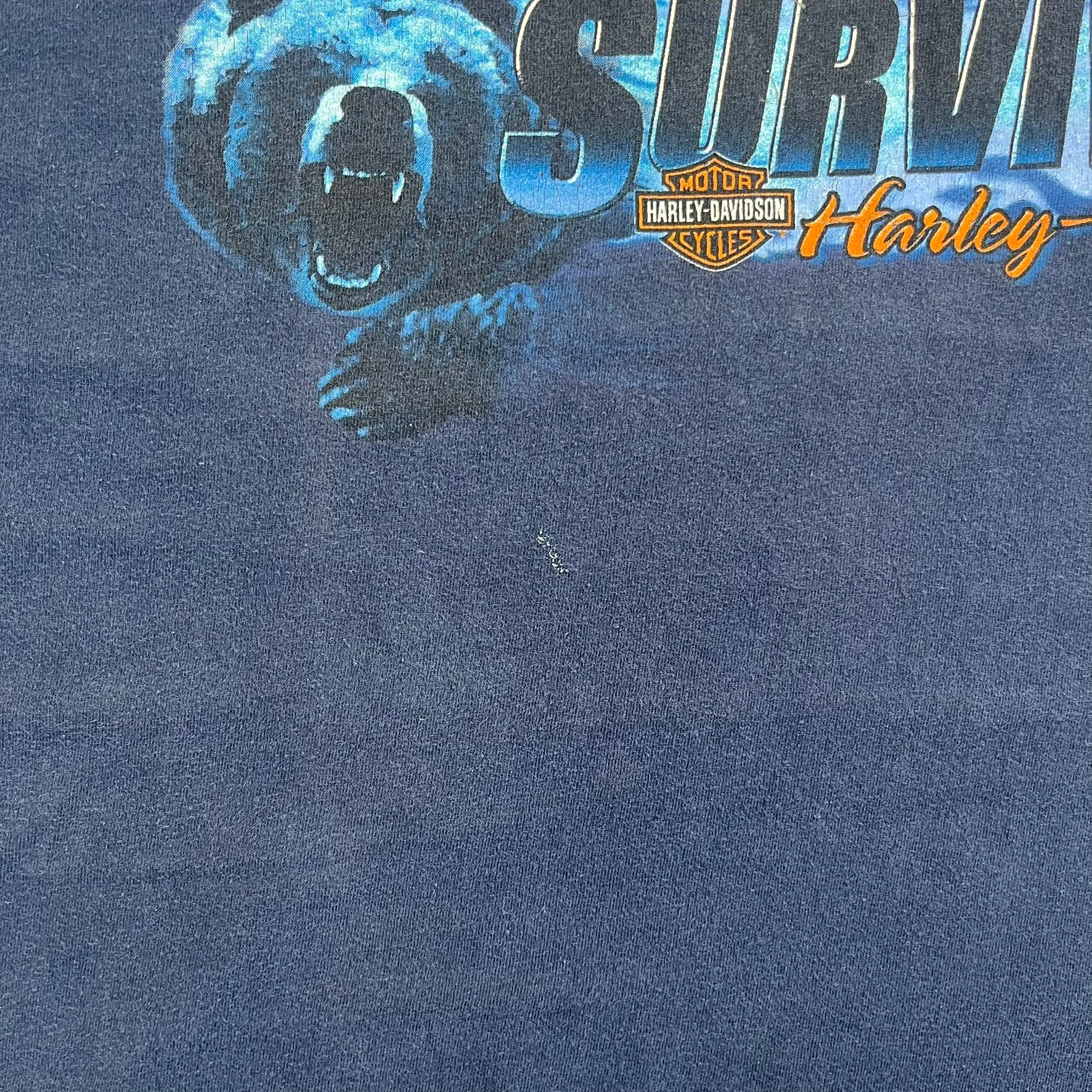 F- Vintage '02 Harley Davidson Gettysburg Pa Survivor Tee sold by HG Vintage product image thumbnail 3