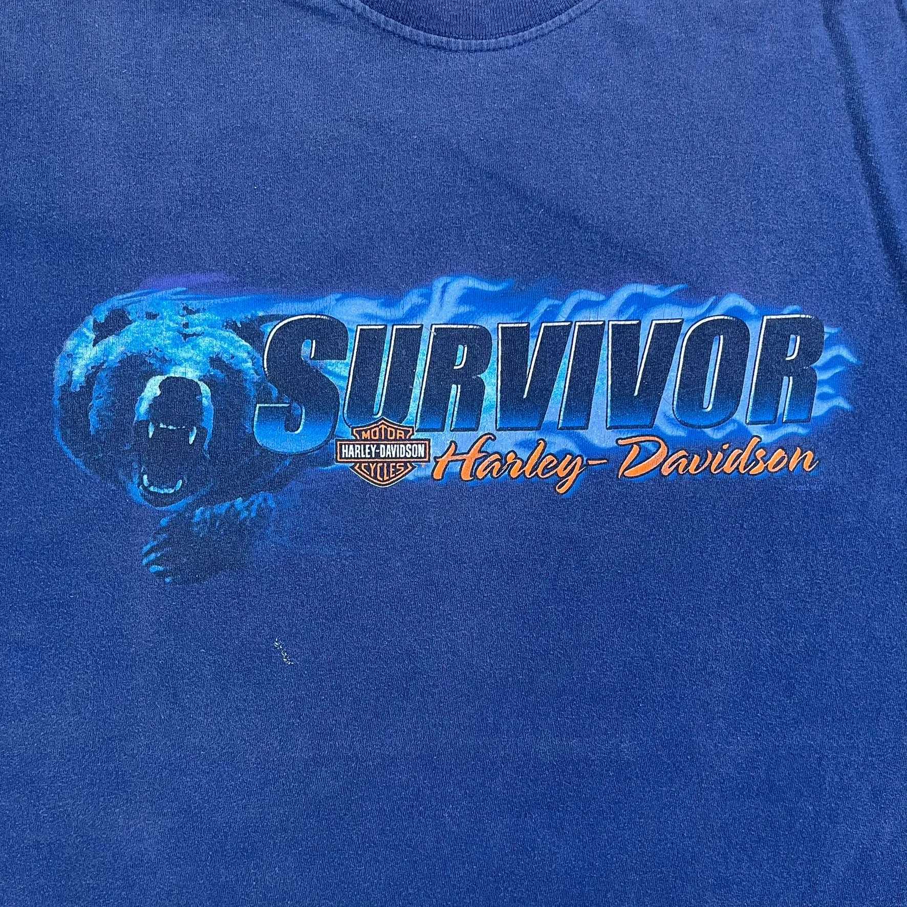 F- Vintage '02 Harley Davidson Gettysburg Pa Survivor Tee sold by HG Vintage product image thumbnail 2