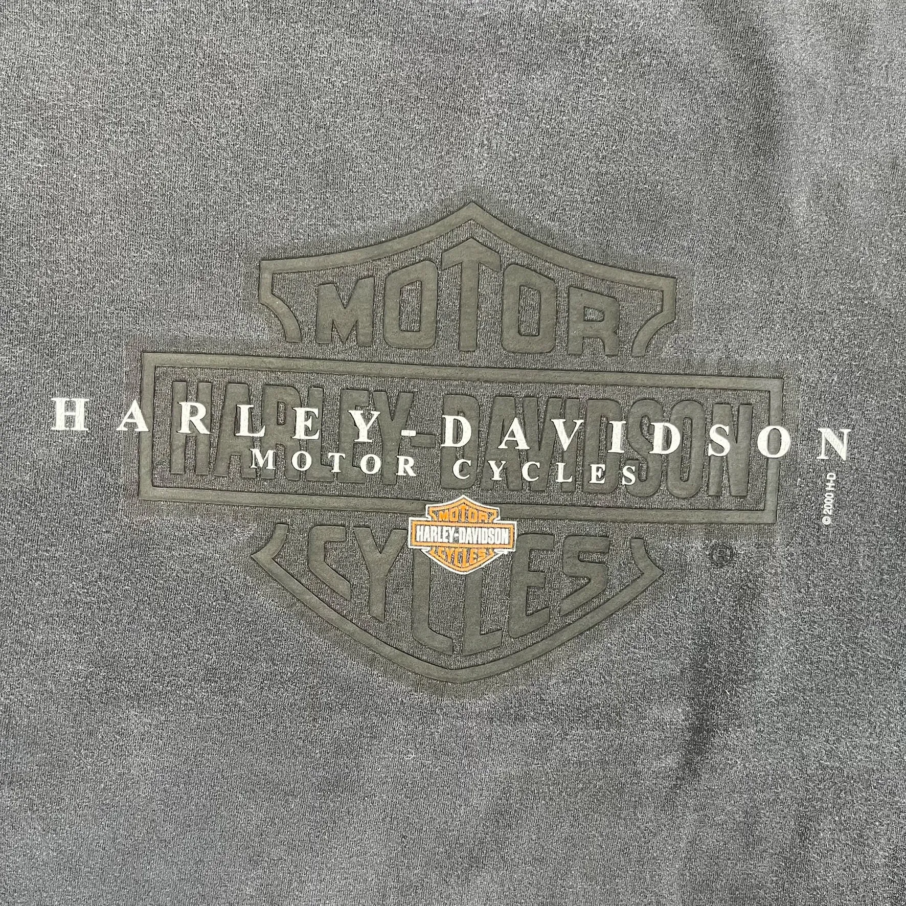F- Vintage '00 Harley Davidson Laughlin Run Text Tee sold by HG Vintage product image thumbnail 2