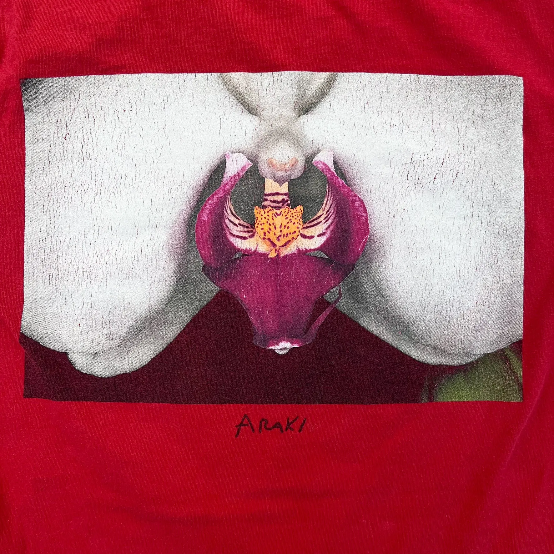 F- SUPREME Araki Orchid F/W '16 Graphic Long Sleeve Tee sold by HG Vintage product image thumbnail 5