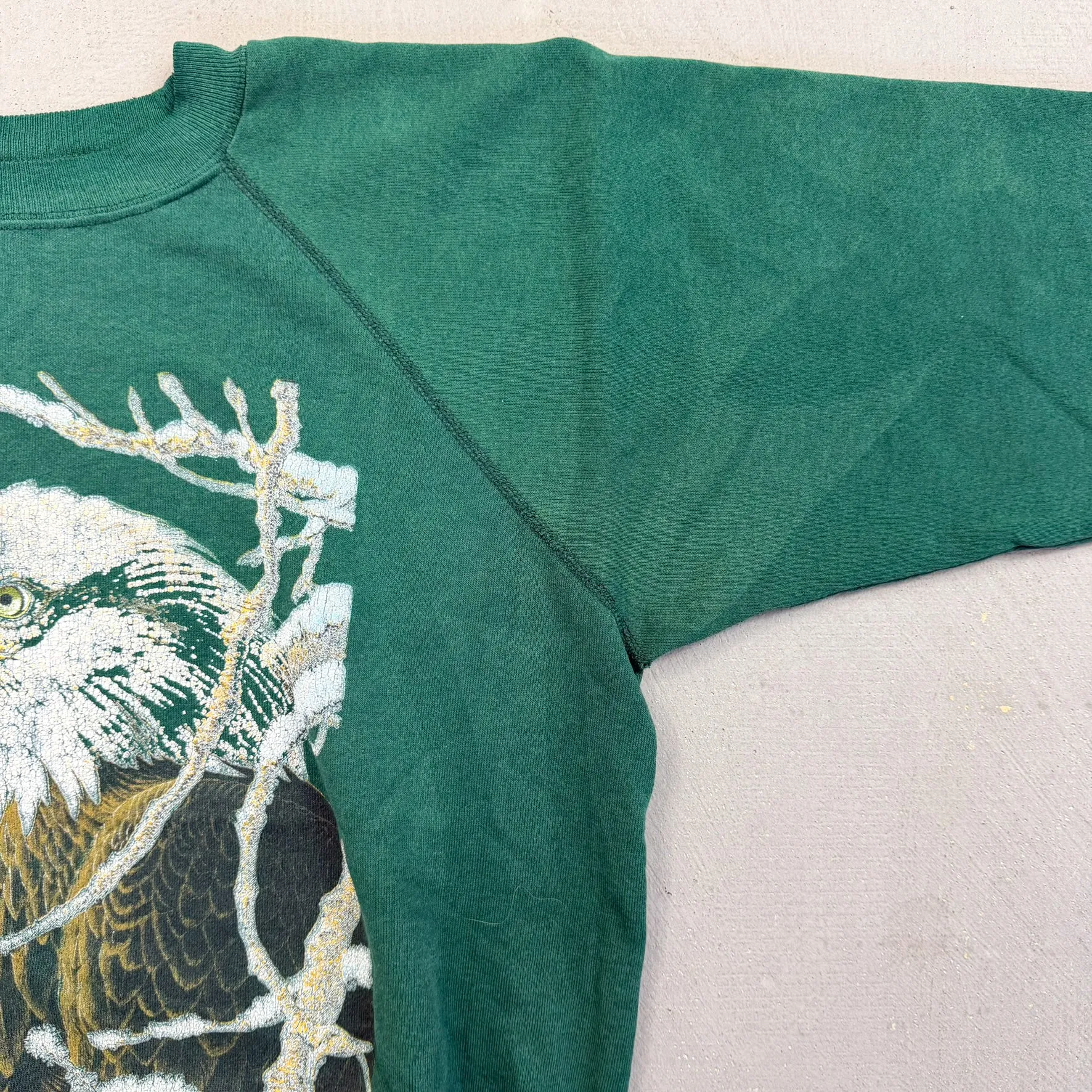 F- Vintage '93 Eagle Print Hanes Active Tag Made In USA Crewneck sold by HG Vintage product image thumbnail 5