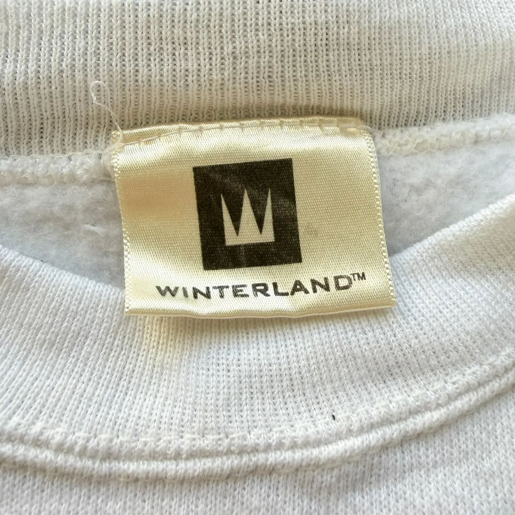 F- Vintage '00 Backstreet Boys Picture Crewneck sold by HG Vintage product image thumbnail 3