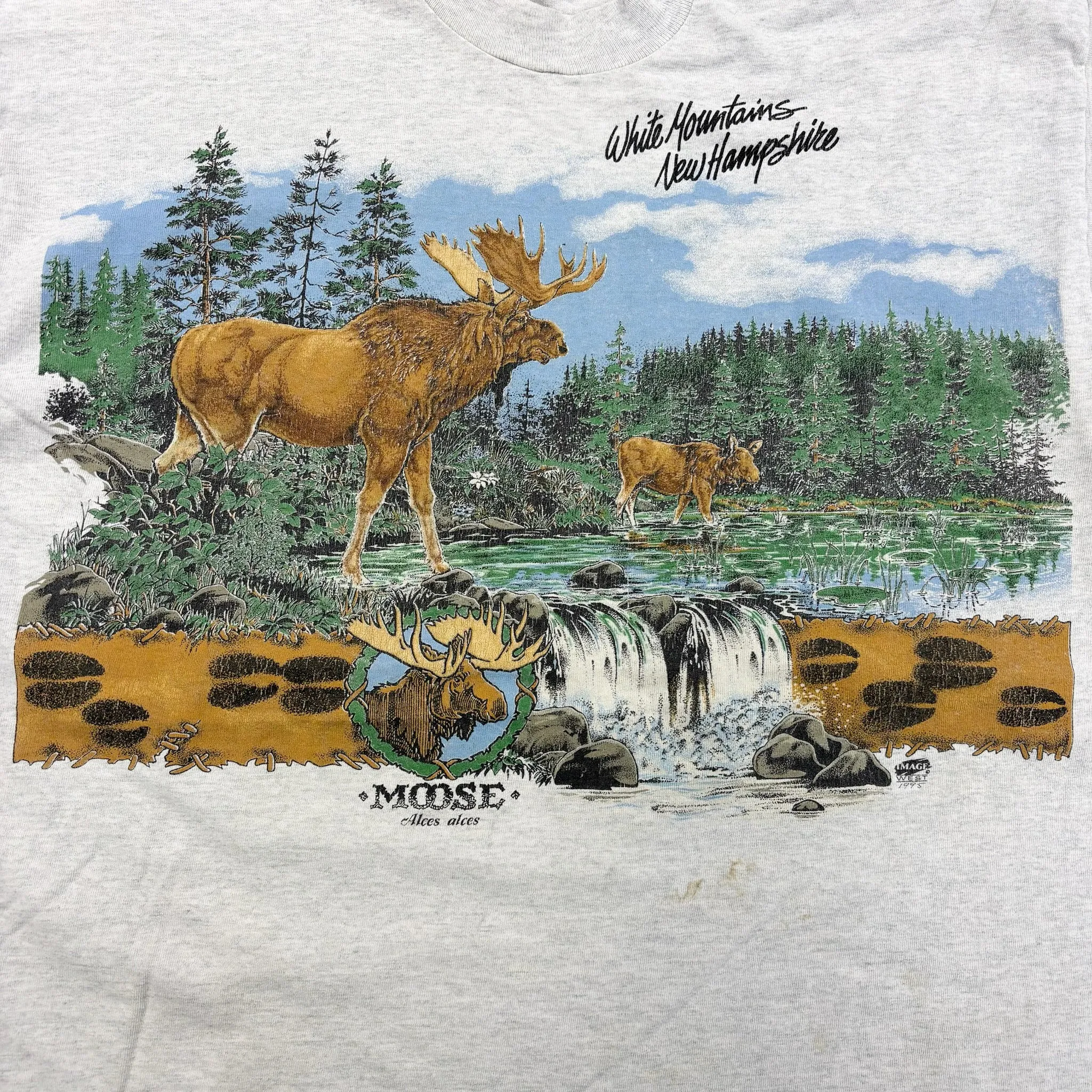 F- Vintage White Mountains Moose Graphic Made In USA Single Stitch Tee sold by HG Vintage product image thumbnail 2