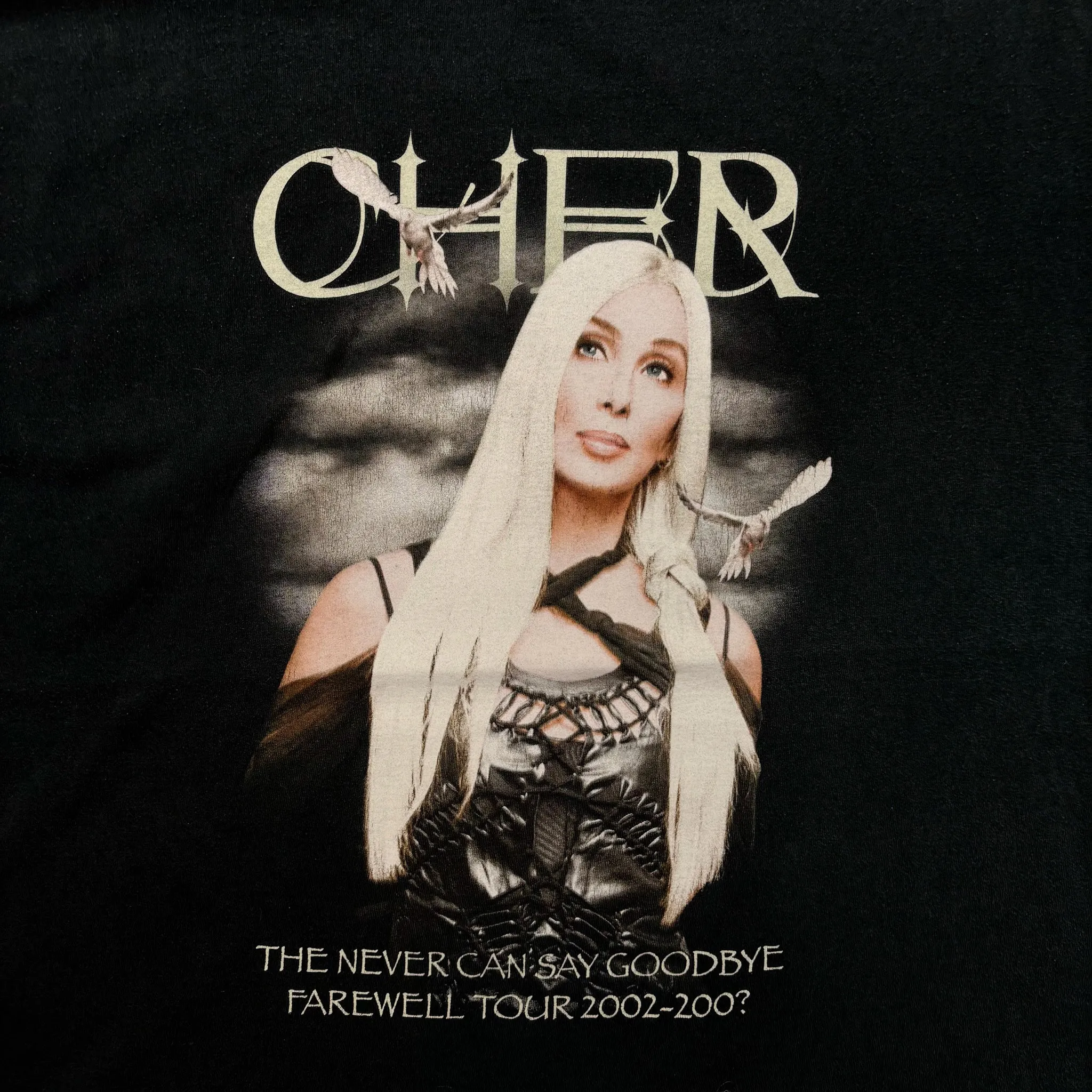 F- Vintage '02 Cher Never Can Say Goodbye Tour Picture Tee sold by HG Vintage product image thumbnail 2