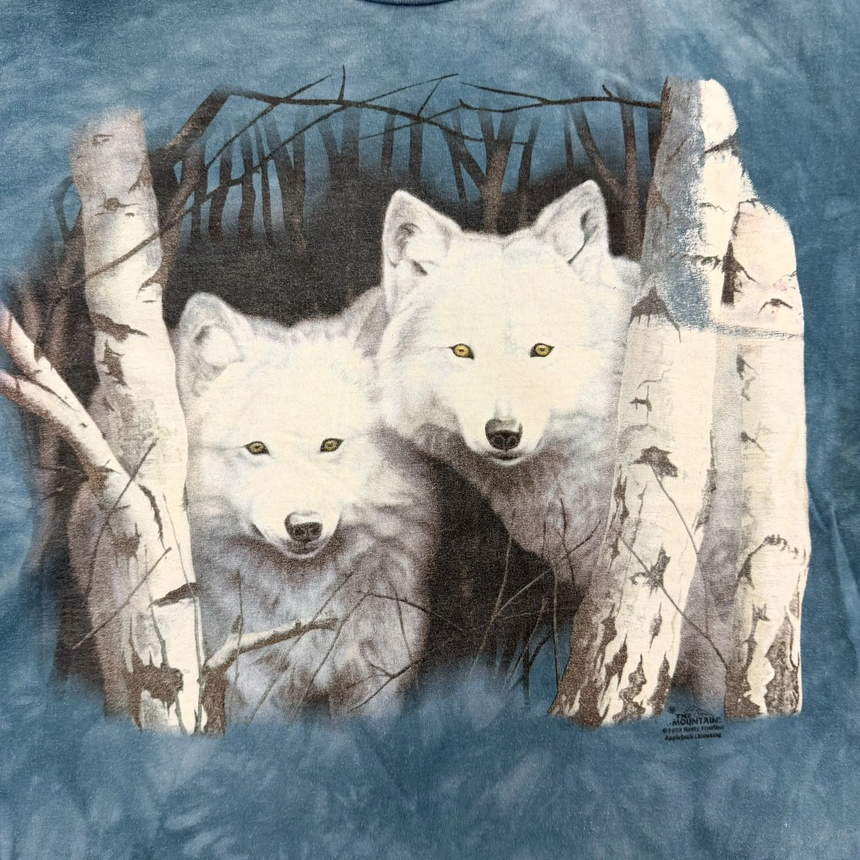 F- Vintage '99 The Mountain White Wolves Graphic Tee sold by HG Vintage product image thumbnail 2