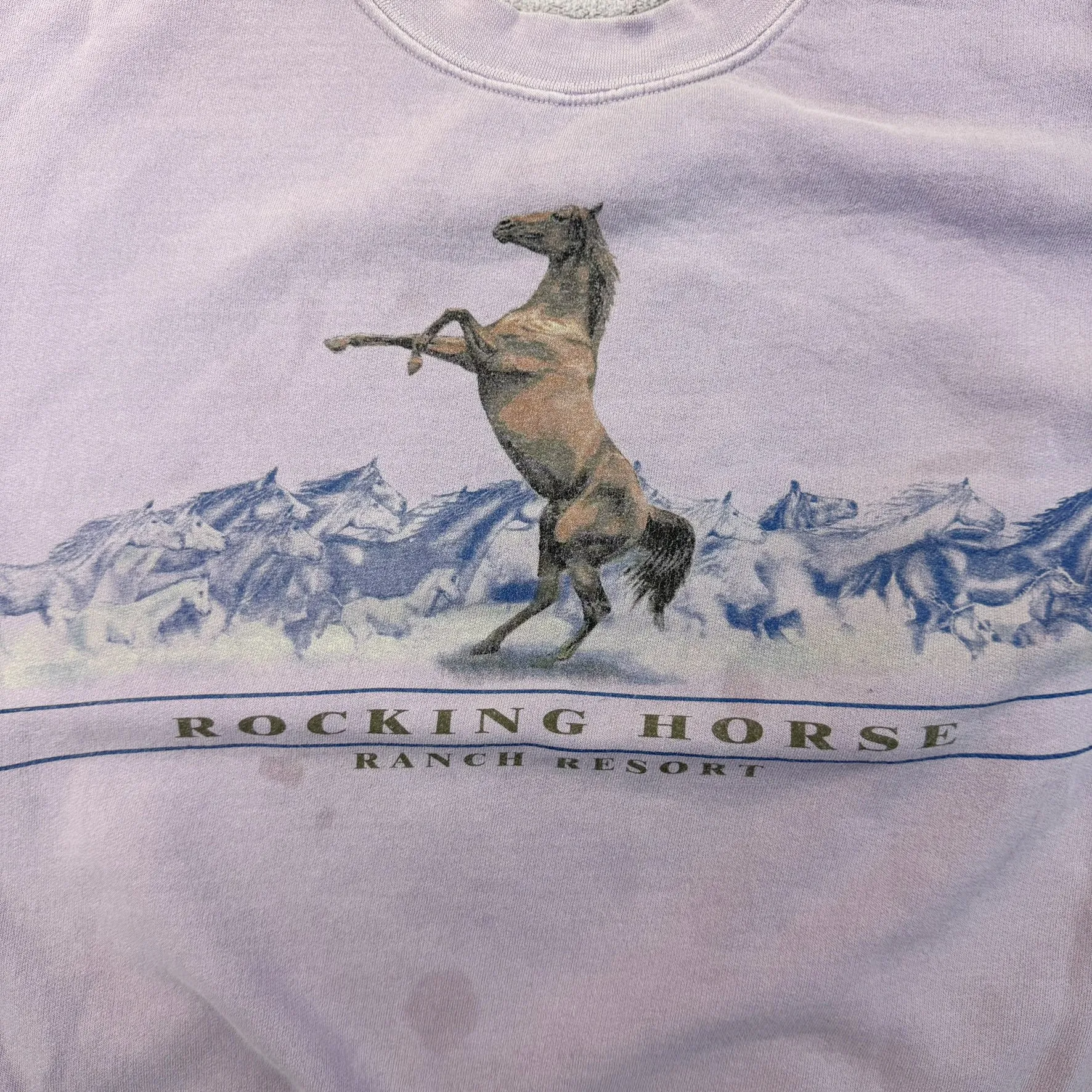 F- Vintage Rocking Horse Ranch Resort Horse Crewneck sold by HG Vintage product image thumbnail 2