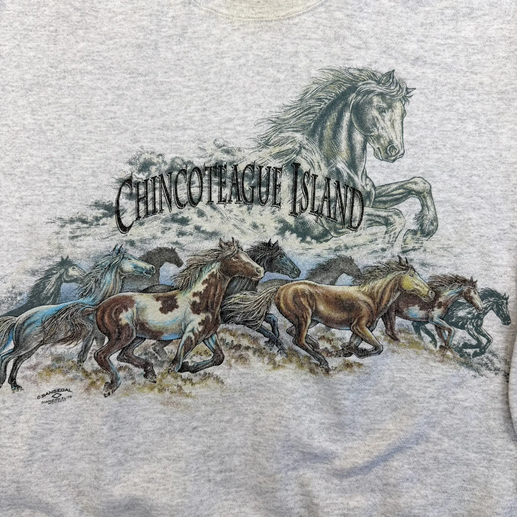 F- Vintage Chincoteague Island Horse Graphic Crewneck sold by HG Vintage product image thumbnail 2