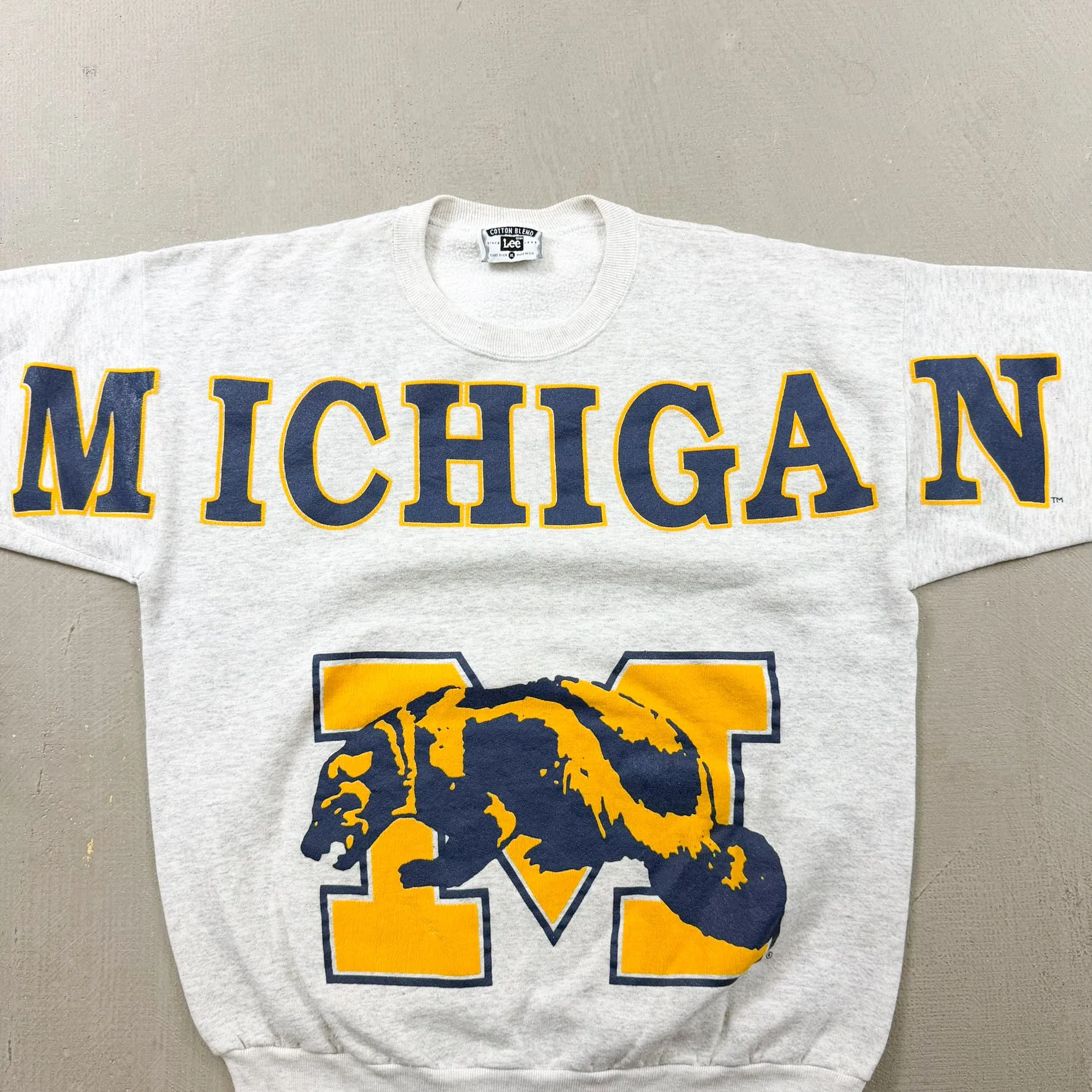 F- Vintage University Of Michigan Wolverines Made In USA Text & Logo Lee Crewneck sold by HG Vintage product image thumbnail 5