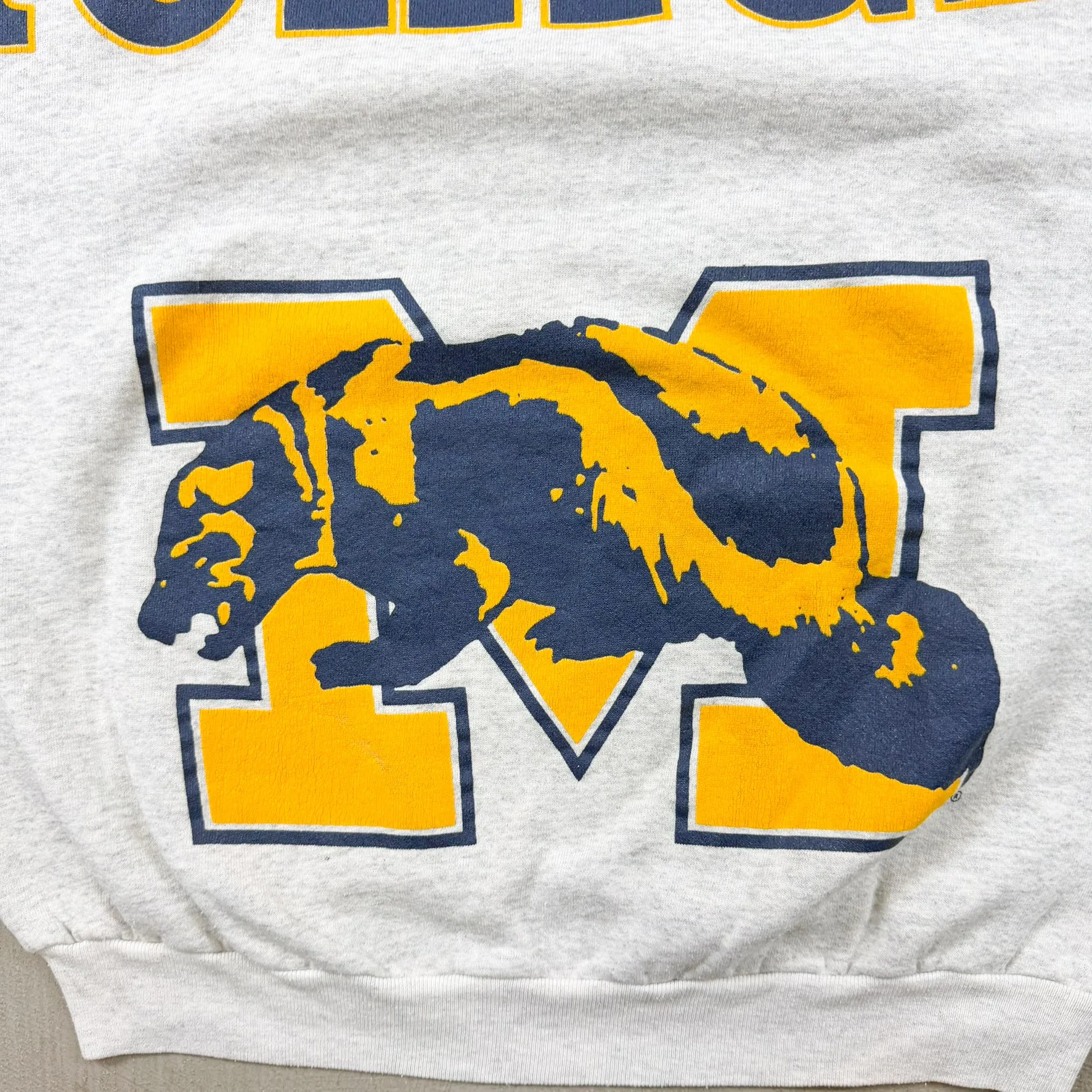 F- Vintage University Of Michigan Wolverines Made In USA Text & Logo Lee Crewneck sold by HG Vintage product image thumbnail 2