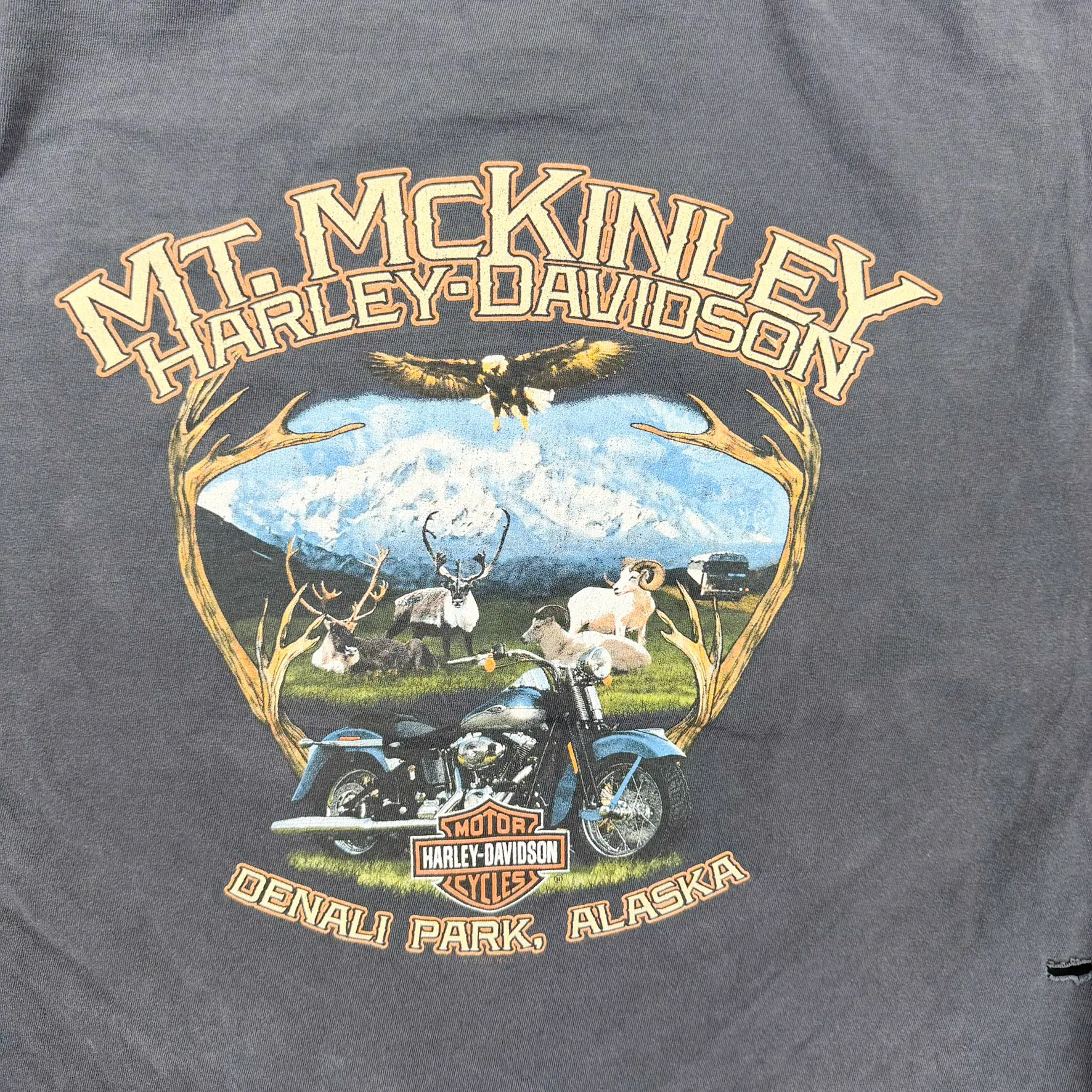 F- Harley Davidson Denali Park Alaska Graphic Long Sleeve Tee sold by HG Vintage product image thumbnail 5