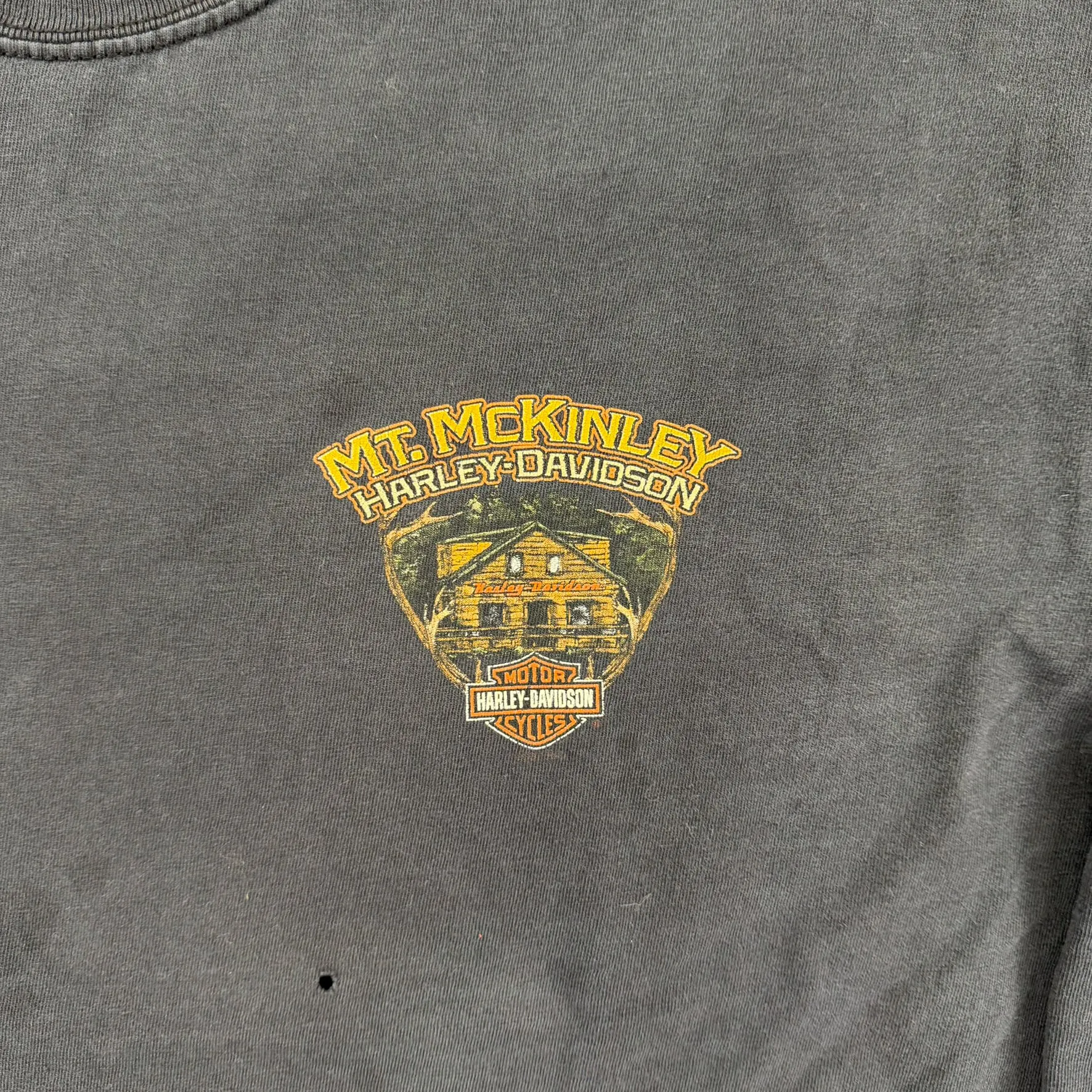 F- Harley Davidson Denali Park Alaska Graphic Long Sleeve Tee sold by HG Vintage product image thumbnail 2