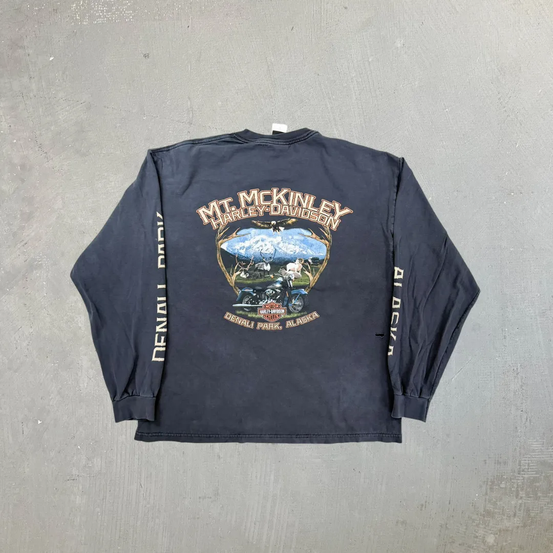 F- Harley Davidson Denali Park Alaska Graphic Long Sleeve Tee sold by HG Vintage product image thumbnail 4