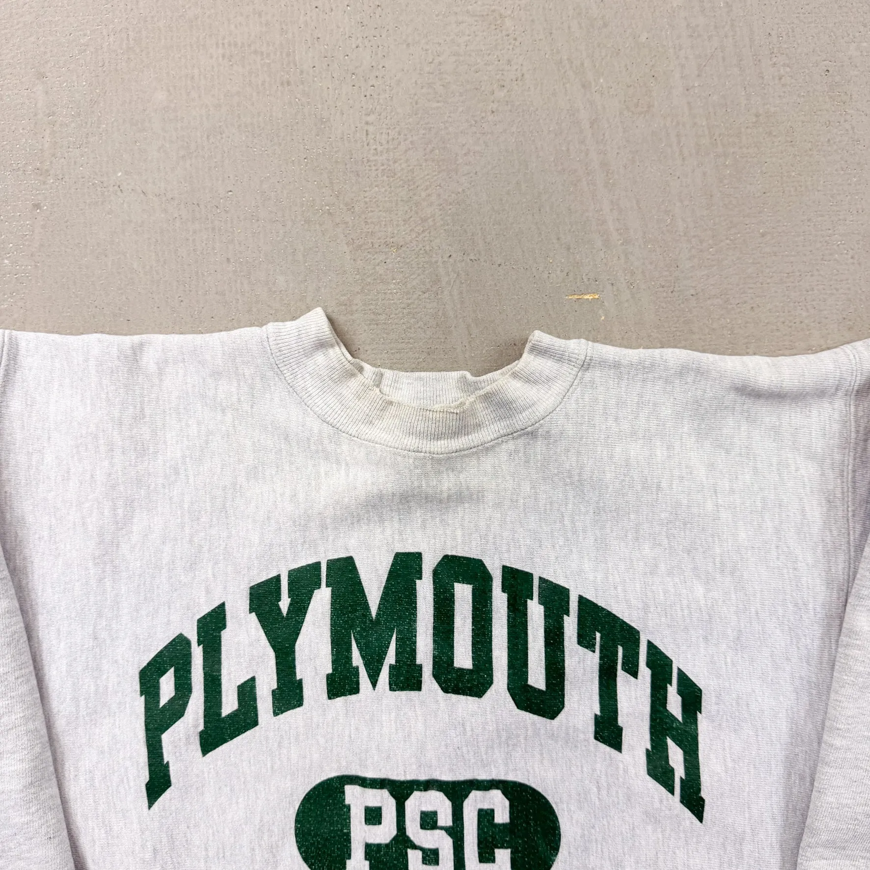 F- Vintage 90s Champion Reverse Weave Plymouth State Crewneck sold by HG Vintage product image thumbnail 2
