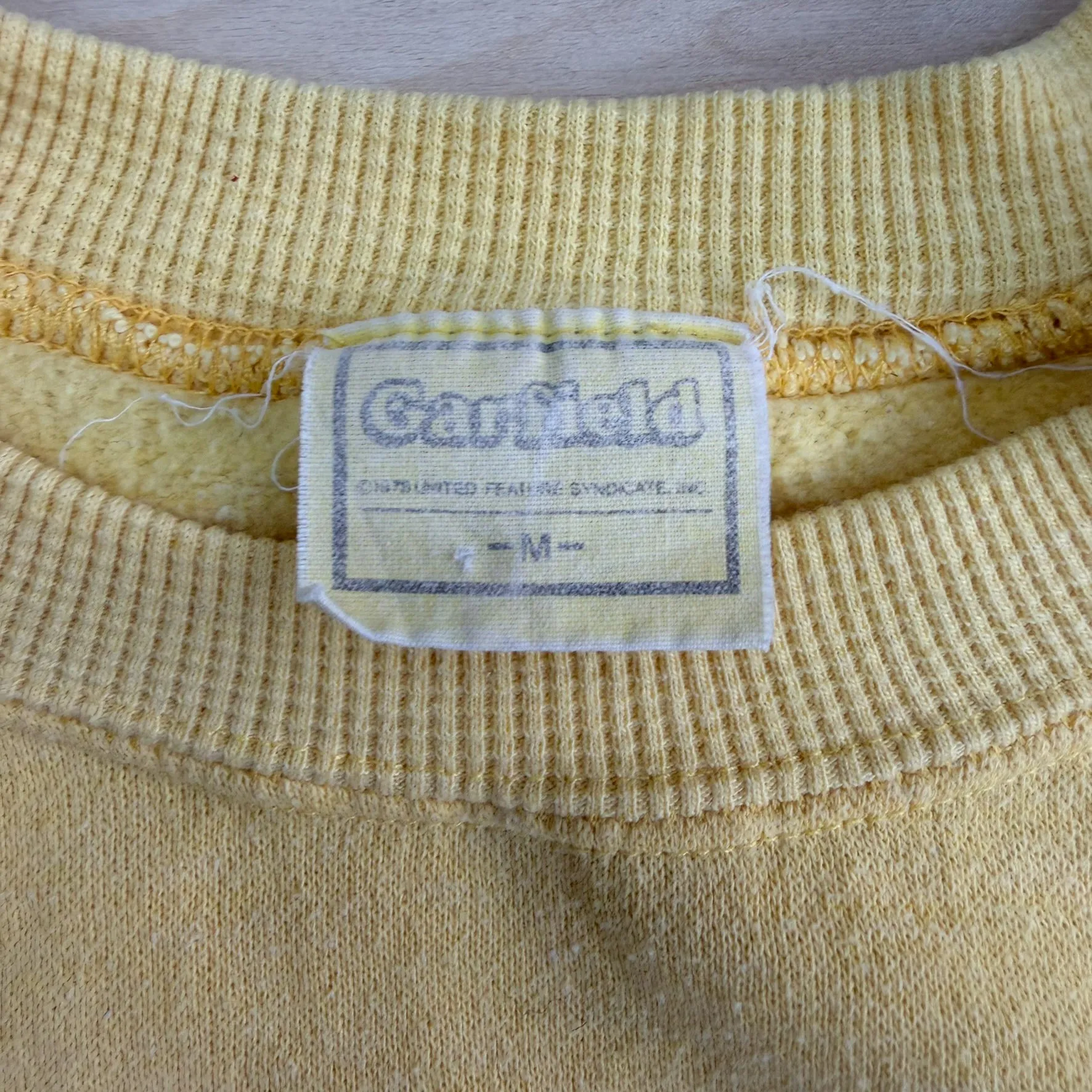 F- Vintage '78 Garfield 100% Pure Graphic Crewneck - M sold by HG Vintage product image thumbnail 4