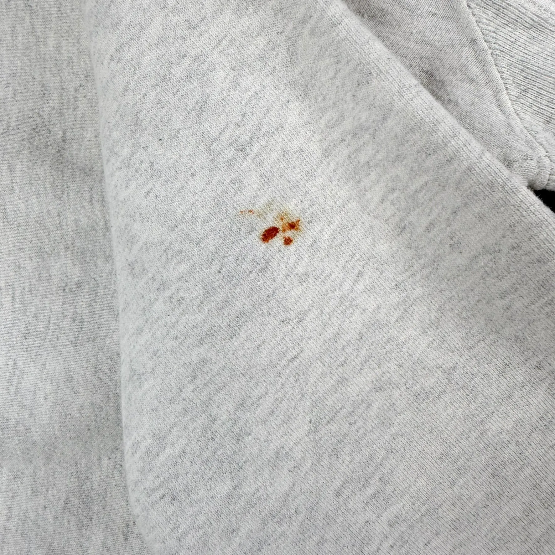 J- Champion Reverse Weave South Dakota State University Jackrabbits Text Crewneck - M sold by HG Vintage product image thumbnail 3