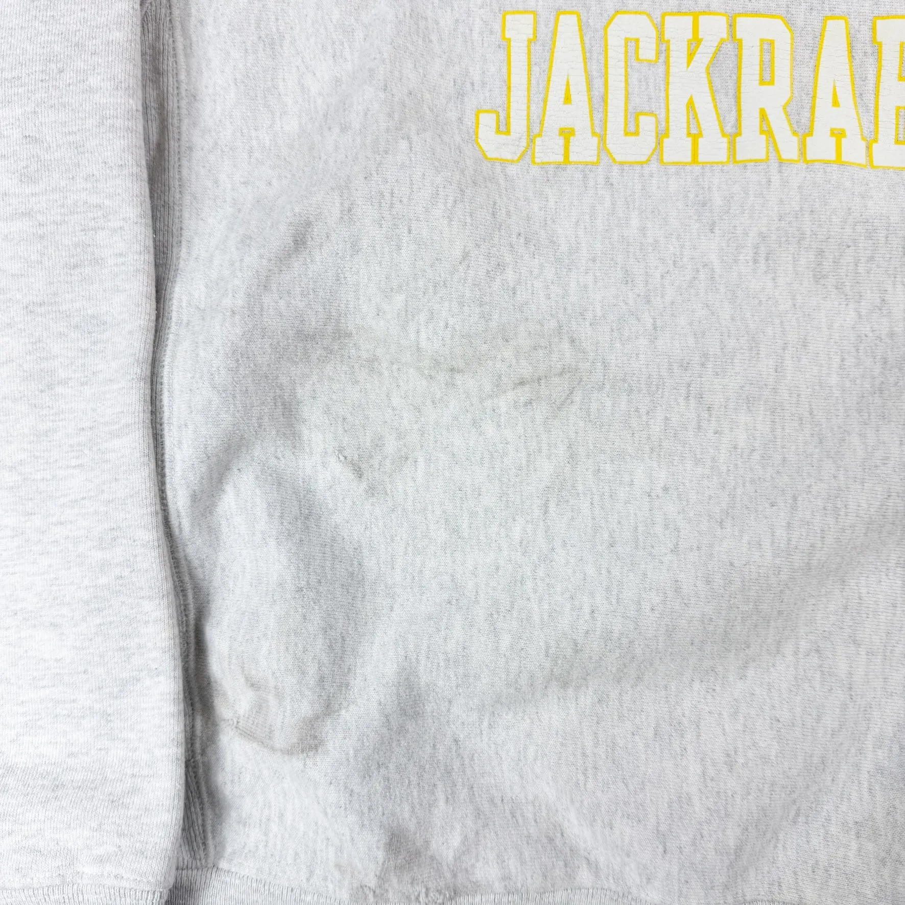 J- Champion Reverse Weave South Dakota State University Jackrabbits Text Crewneck - M sold by HG Vintage product image thumbnail 4