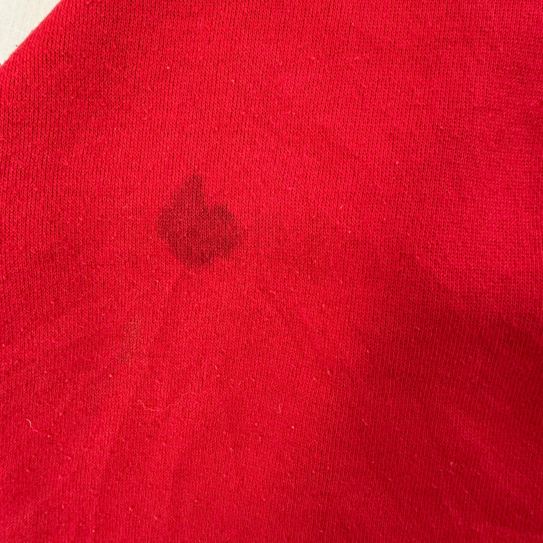 J- Vintage Big Sur California Bear Camping Graphic Lee Made In USA Crewneck - XL sold by HG Vintage product image thumbnail 5