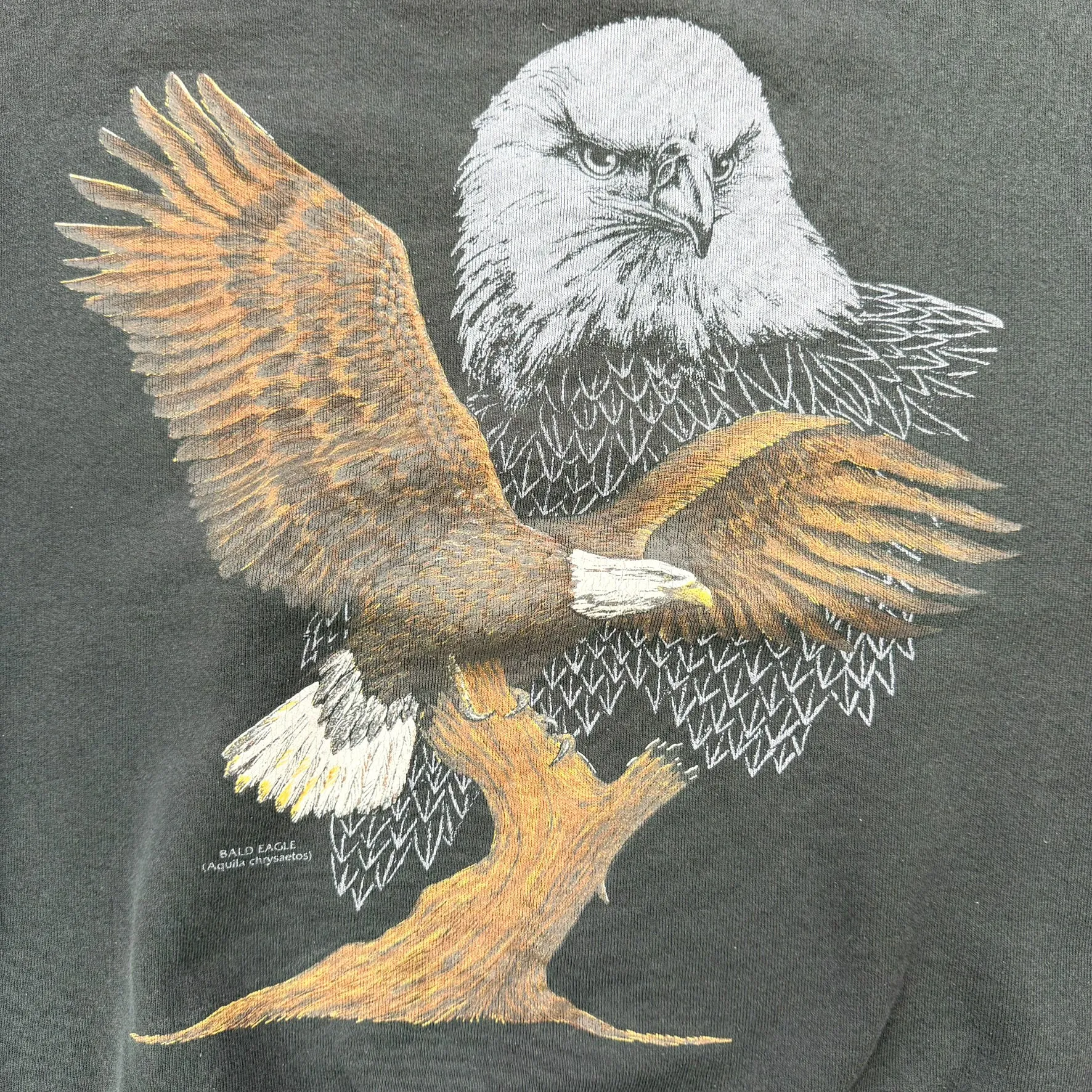 J- Vintage Bald Eagle Text & Animal Print Crewneck - XL sold by HG Vintage product image thumbnail 2