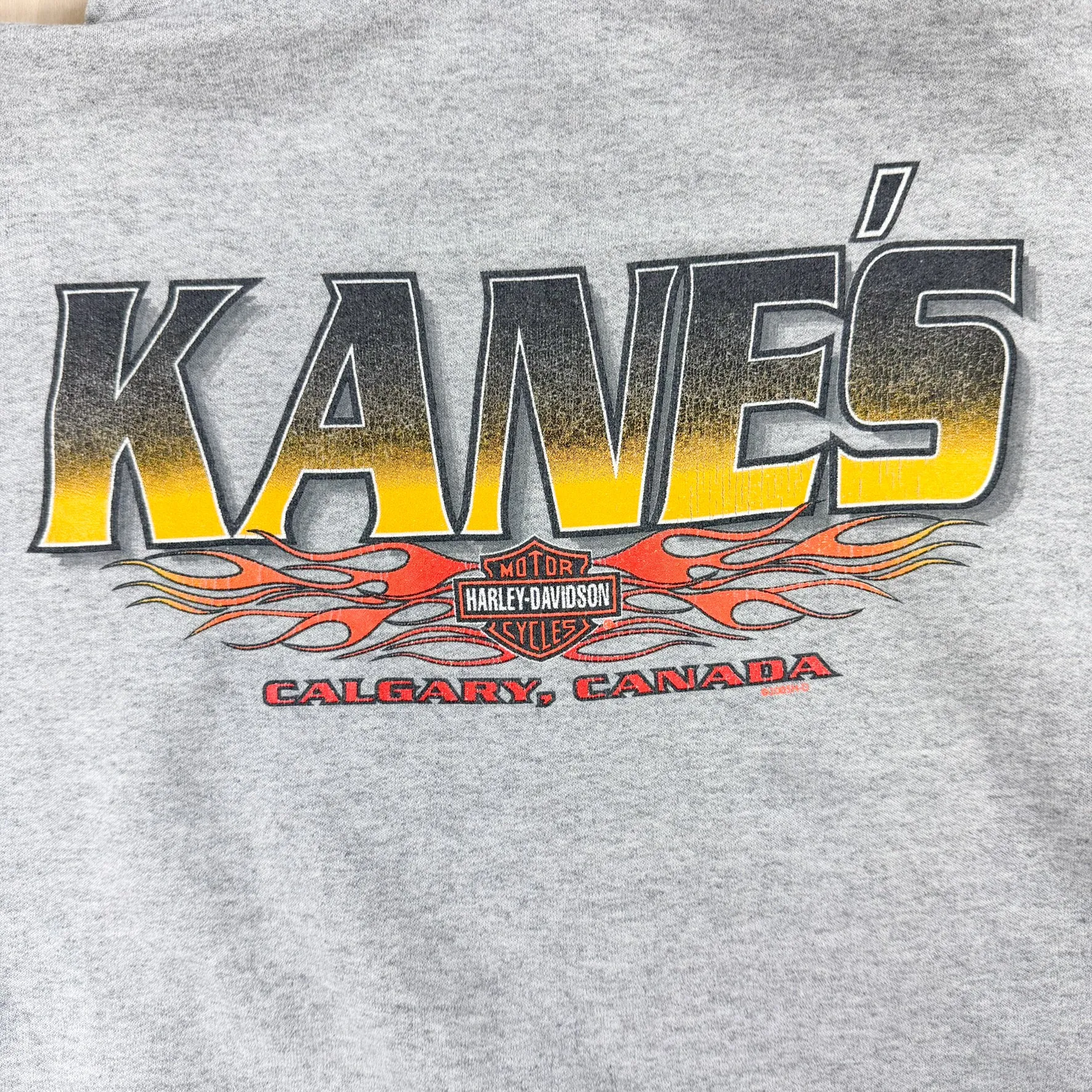 J- Vintage '05 Harley Davidson Kane's Calgary Alberta Hoodie - L sold by HG Vintage product image thumbnail 4