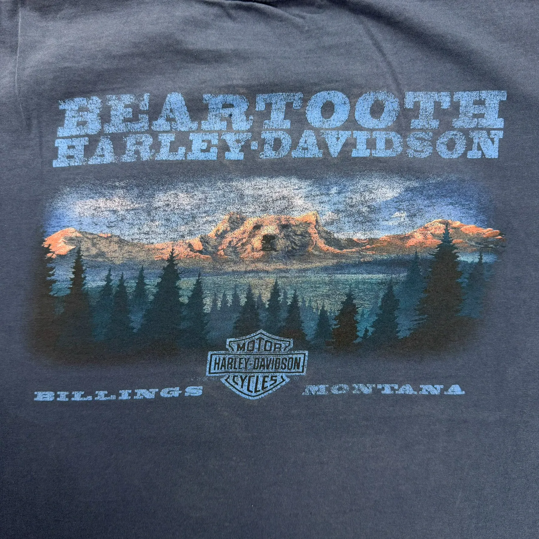 J- Vintage Harley Davidson Billings Montana Graphic Tee - XL sold by HG Vintage product image thumbnail 4