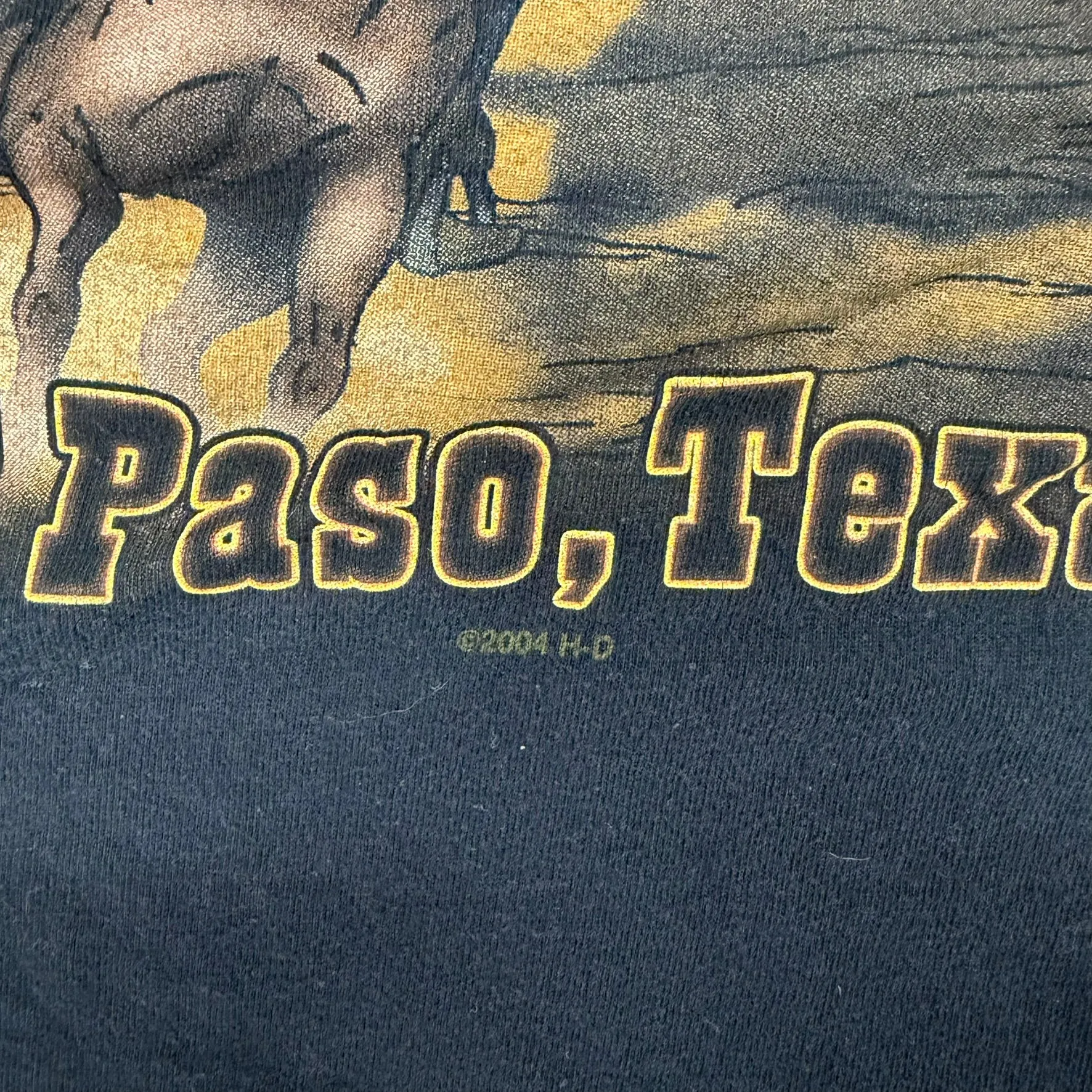 J- Vintage '04 Harley Davidson El Paso Texas Graphic Tee - M sold by HG Vintage product image thumbnail 3