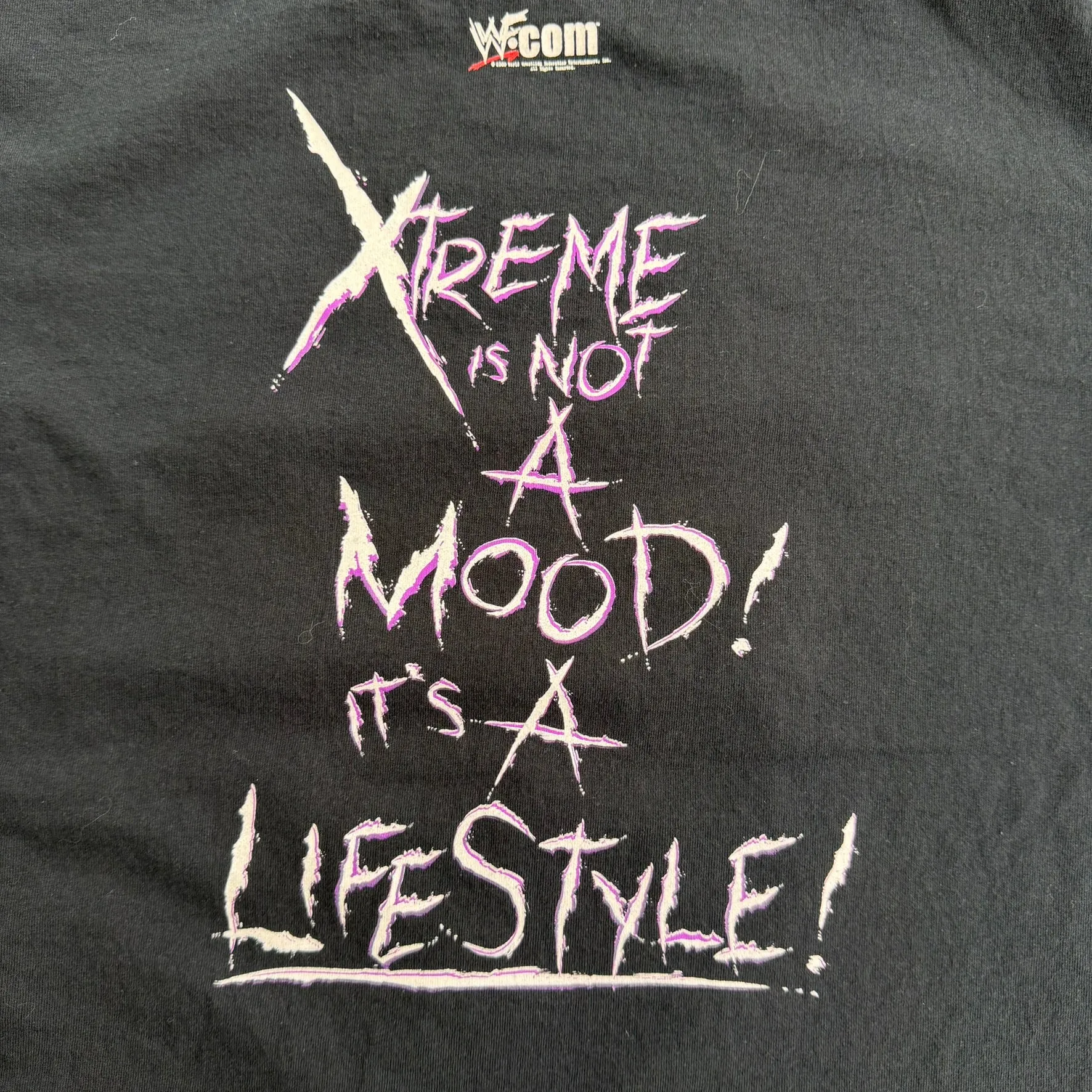 J- Vintage '00 WWE The Hardy Boyz Team Xtreme Graphic Tee - L sold by HG Vintage product image thumbnail 4