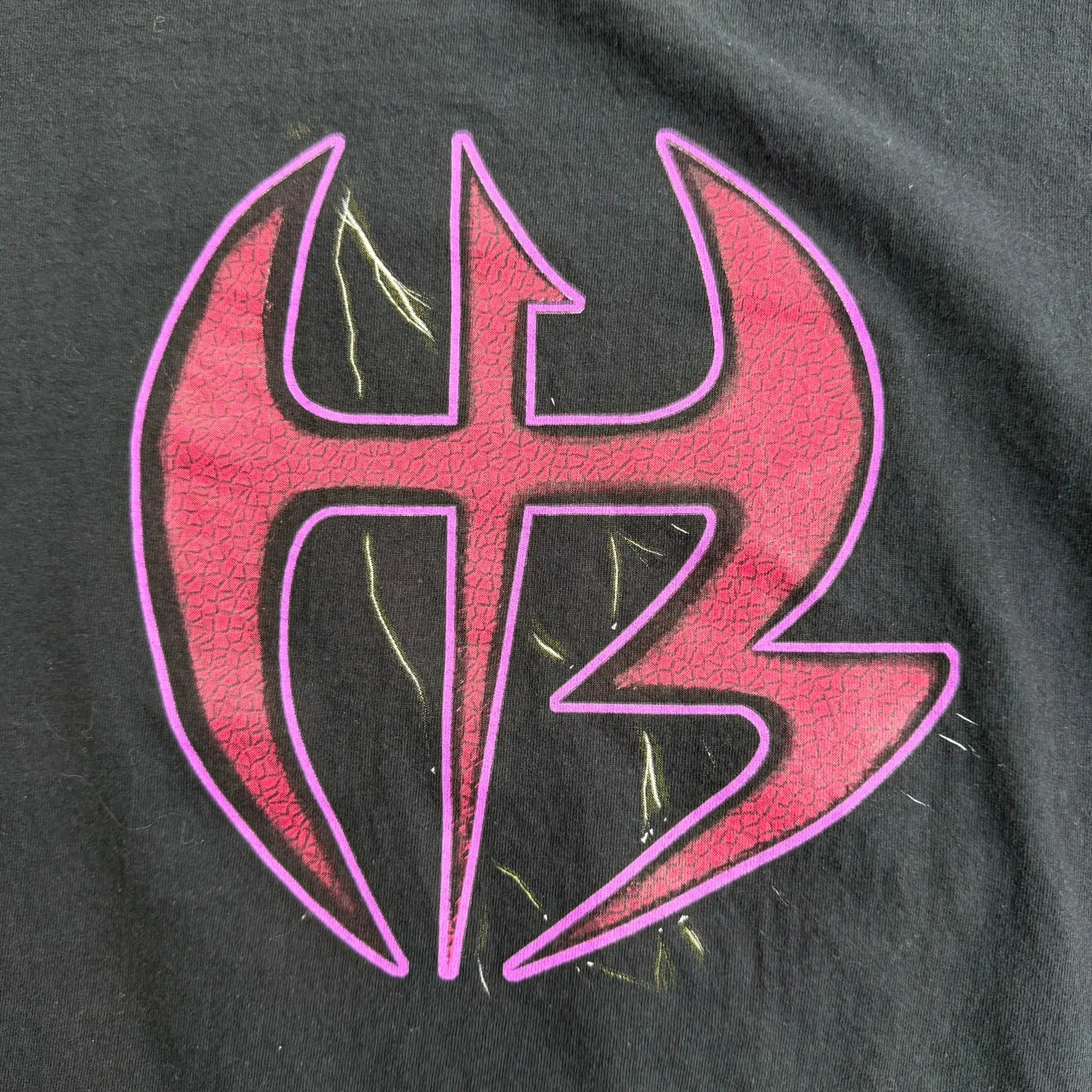 J- Vintage '00 WWE The Hardy Boyz Team Xtreme Graphic Tee - L sold by HG Vintage product image thumbnail 2