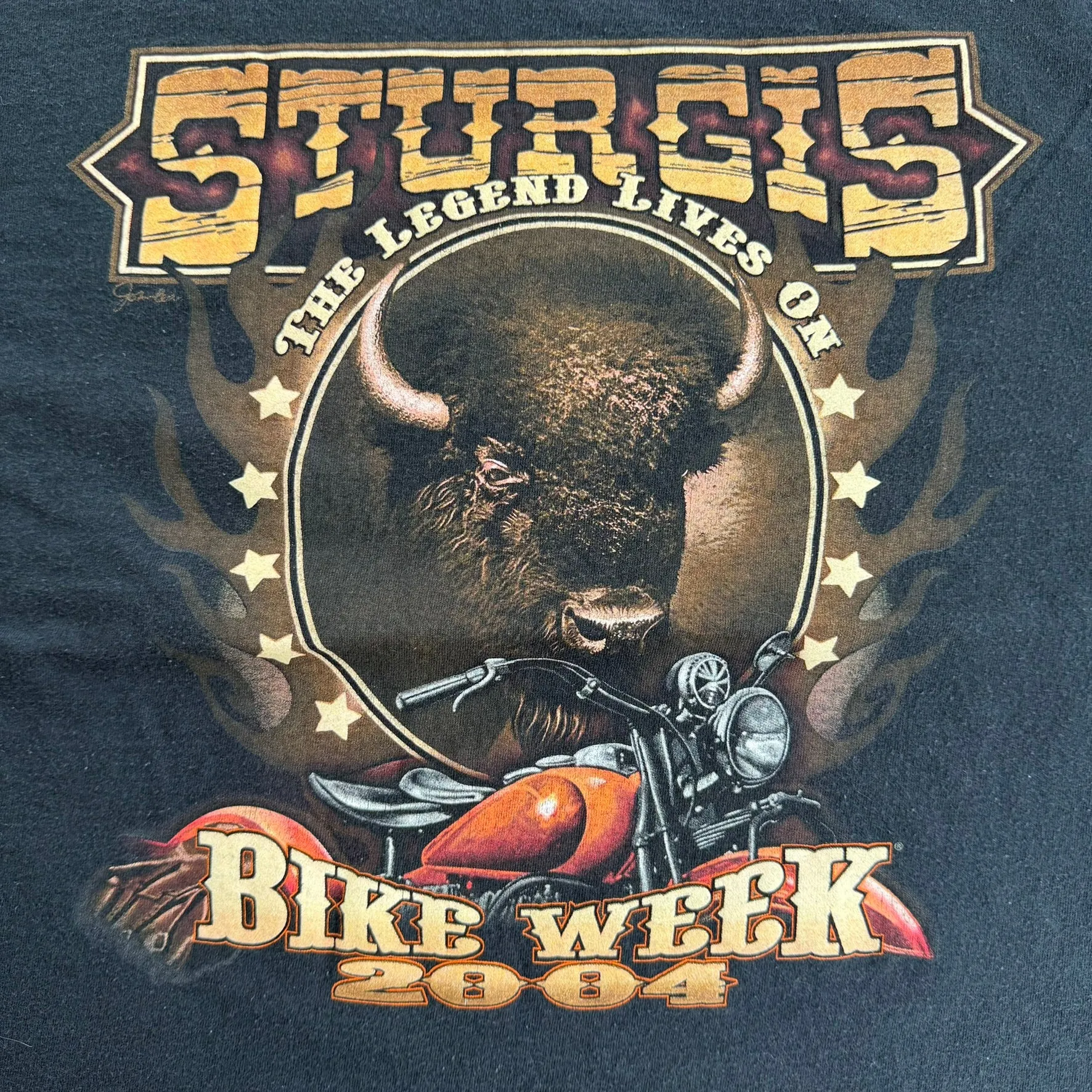 J- Vintage '04 Sturgis Bike Week Graphic Tee - XL sold by HG Vintage product image thumbnail 2