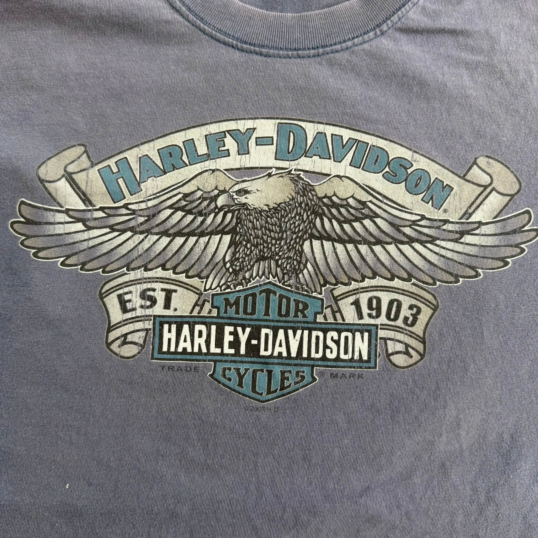 J- Vintage '10 Harley Davidson Philadelphia Pennsylvania Tee - L sold by HG Vintage product image thumbnail 2