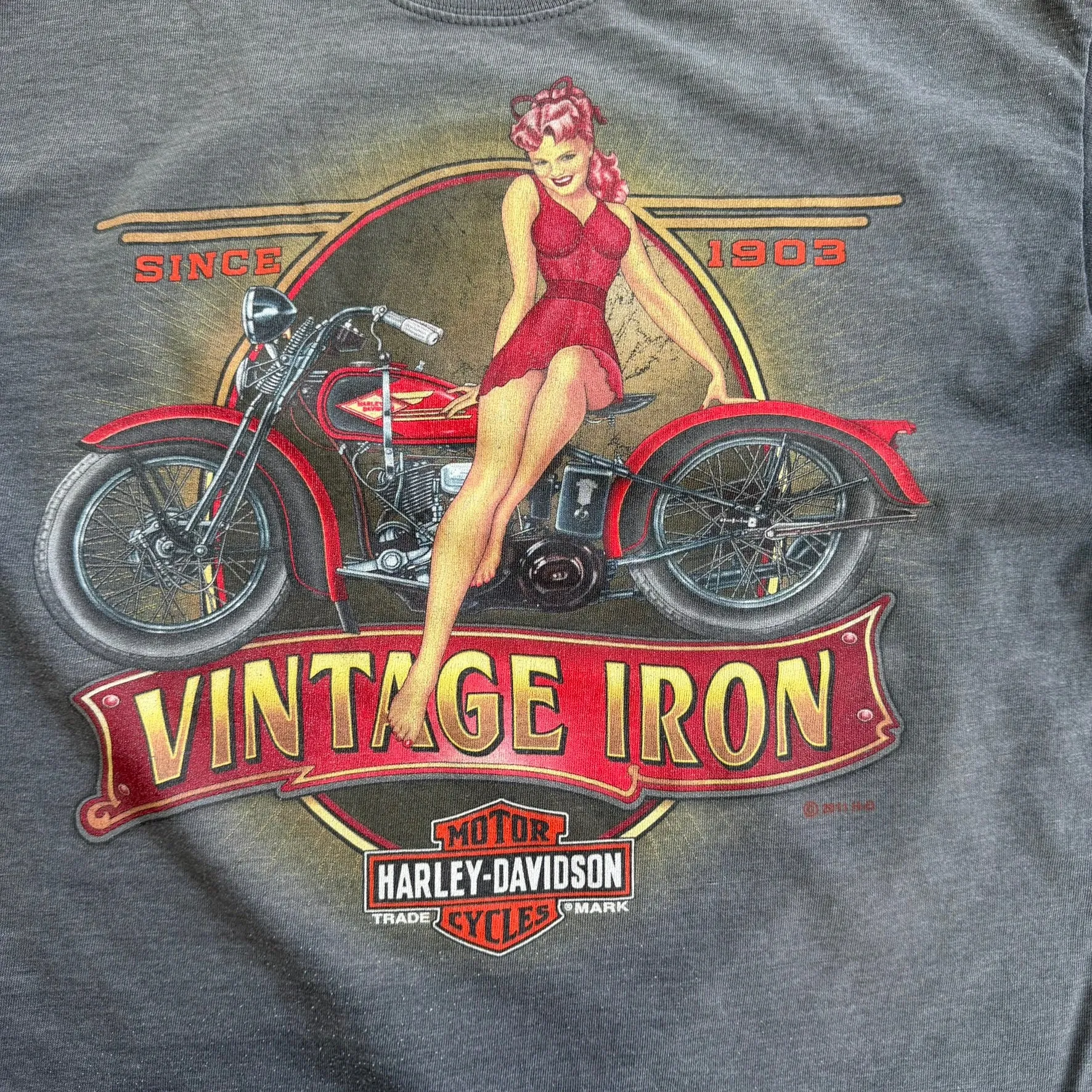 J- '11 Harley Davidson Sudbury Ontario Canada Graphic Tee - L sold by HG Vintage product image thumbnail 2