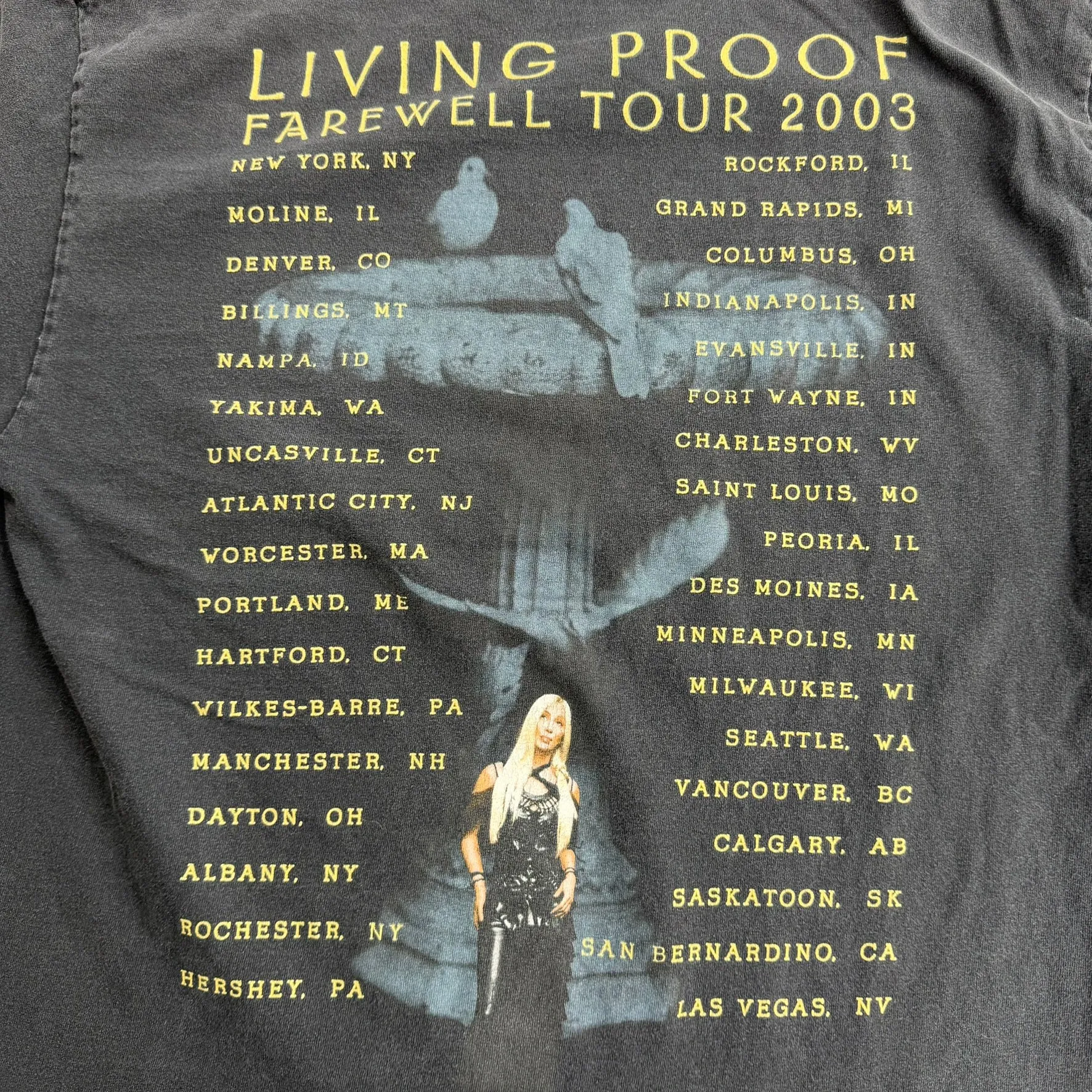 J- Vintage '03 Cher Living Proof Tour Picture Tee - L sold by HG Vintage product image thumbnail 5