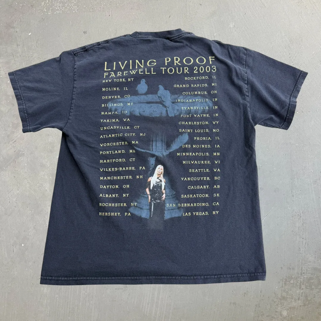 J- Vintage '03 Cher Living Proof Tour Picture Tee - L sold by HG Vintage product image thumbnail 4