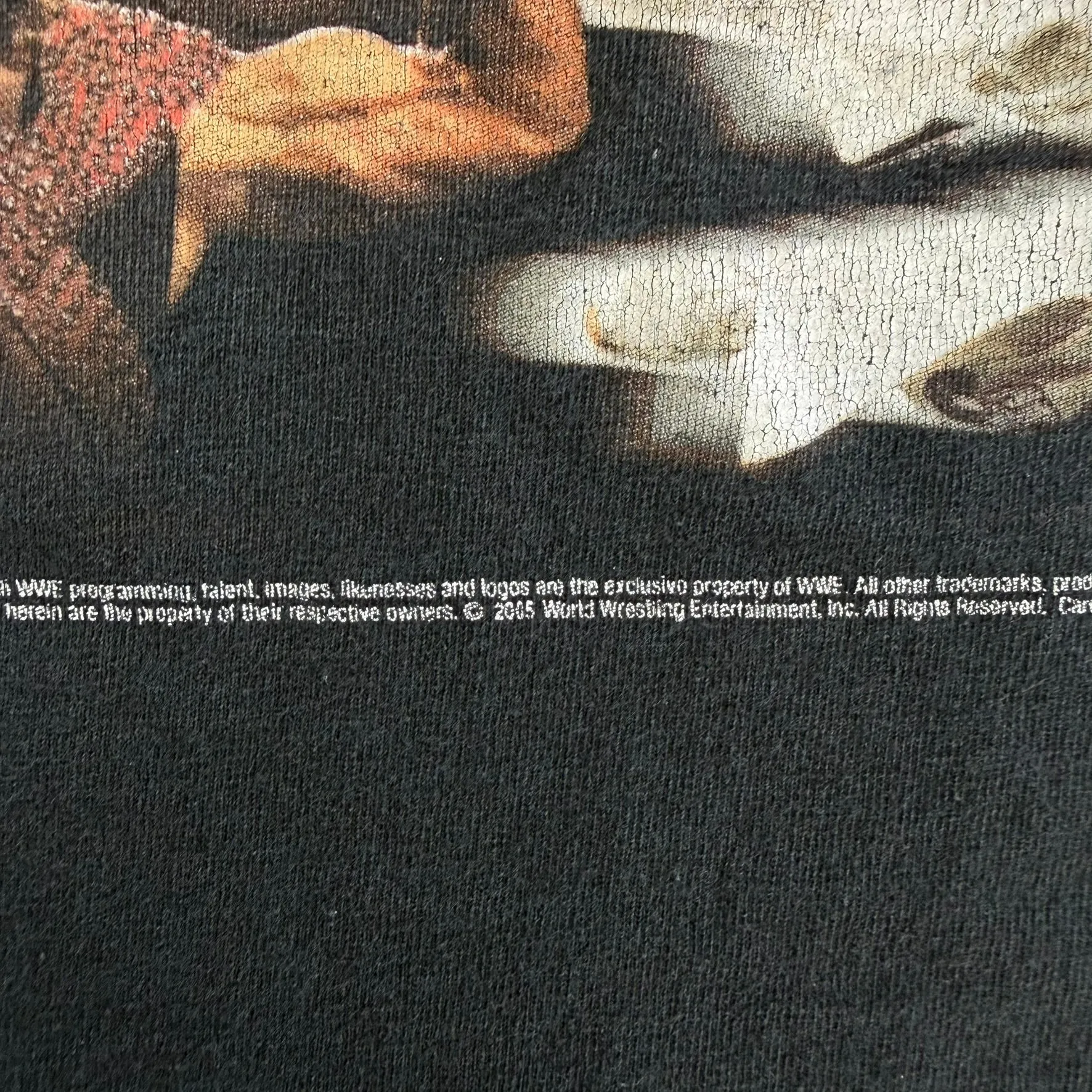 J- Vintage '04 WWE Raw & Smackdown Picture Graphic Tee - M sold by HG Vintage product image thumbnail 4