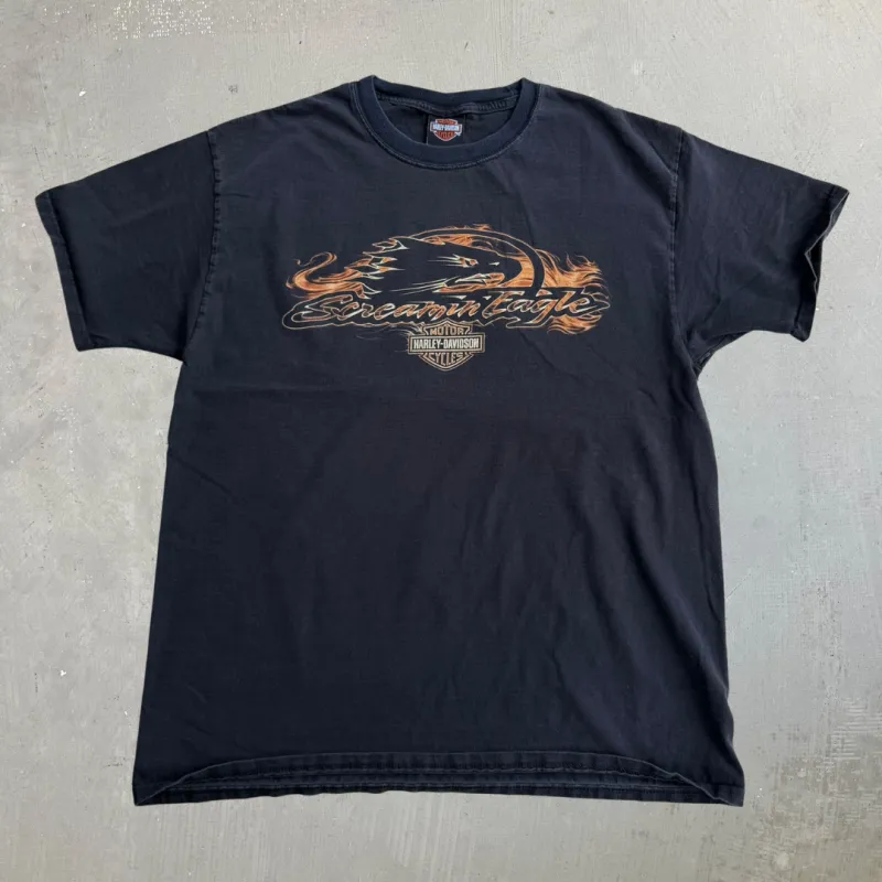 J- Vintage '12 Harley Davidson Apache Junction Arizona Graphic Tee - L made by Harley-Davidson