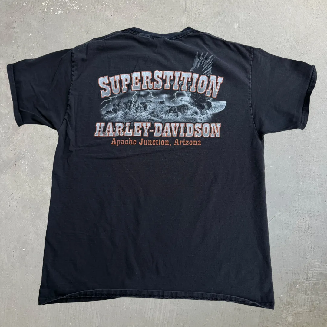 J- Vintage '12 Harley Davidson Apache Junction Arizona Graphic Tee - L sold by HG Vintage product image thumbnail 4
