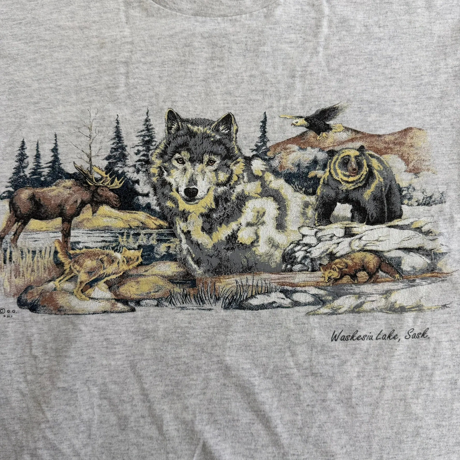 J- Vintage Waskesia Lake Saskatchewan Wildlife Graphic Tee - L sold by HG Vintage product image thumbnail 2