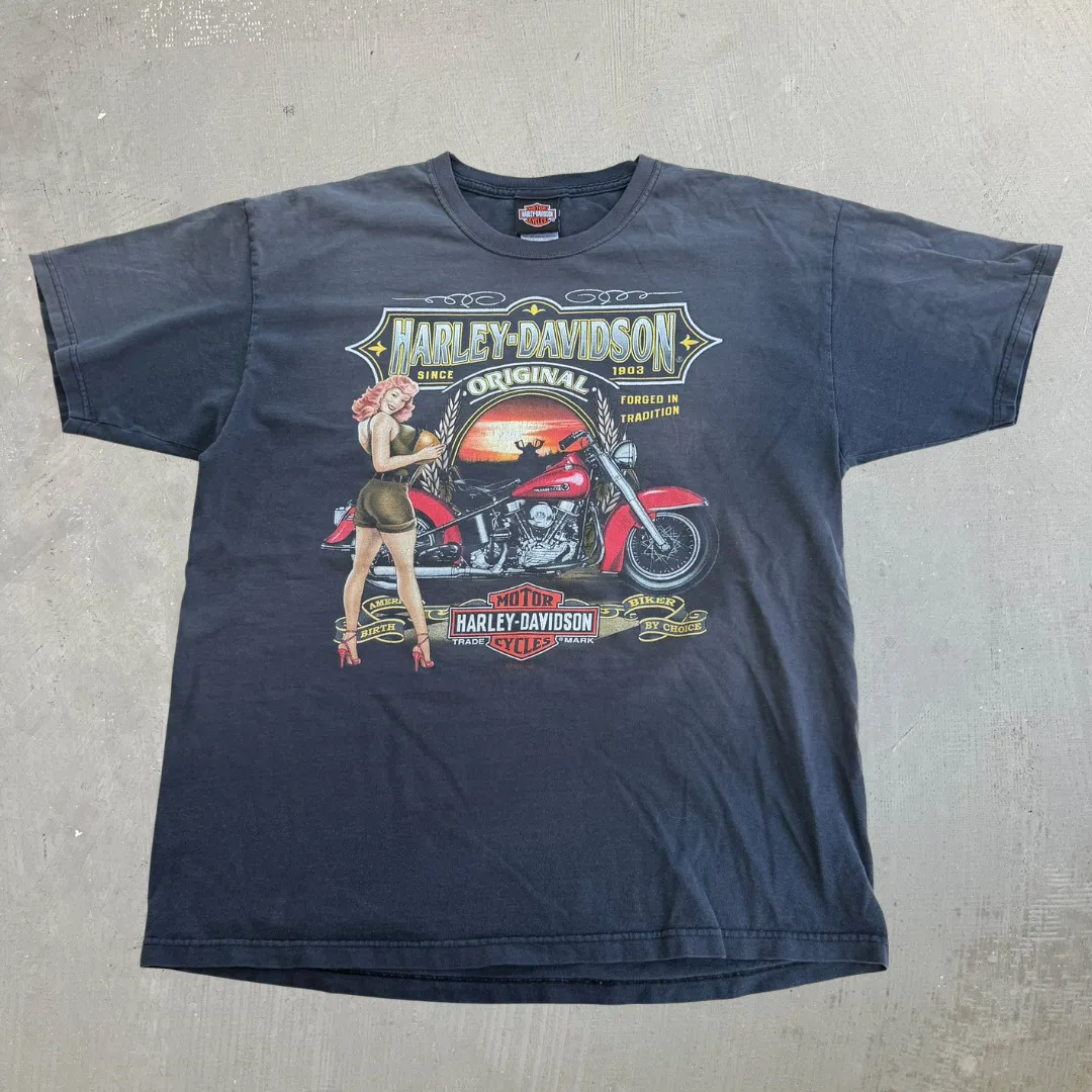 J- '11 Harley Davidson Sudbury Ontario Canada Graphic Tee - L sold by HG Vintage