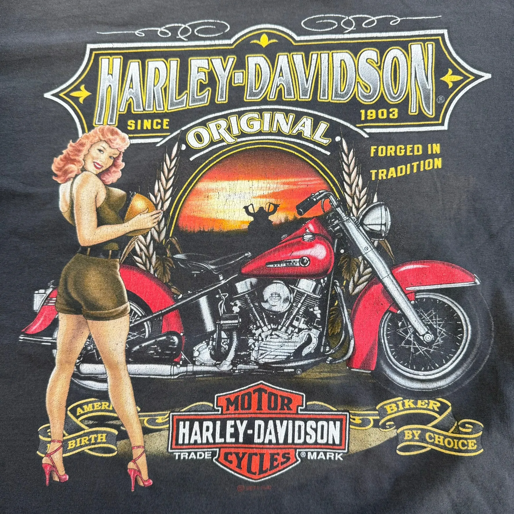 J- '11 Harley Davidson Sudbury Ontario Canada Graphic Tee - L sold by HG Vintage product image thumbnail 2