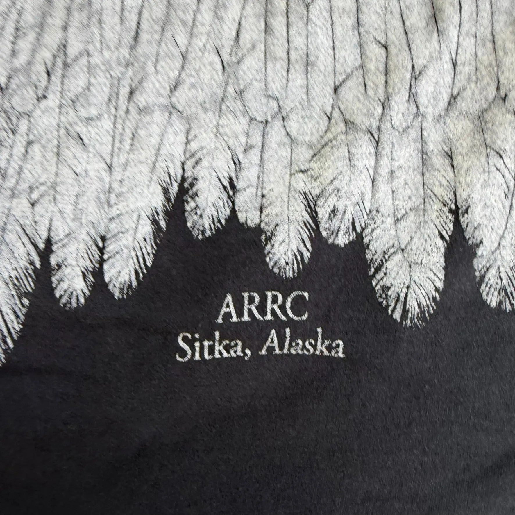J- Vintage Sitka Alaska I Am Smiling Eagle Graphic Single Stitch Tee - XL sold by HG Vintage product image thumbnail 3