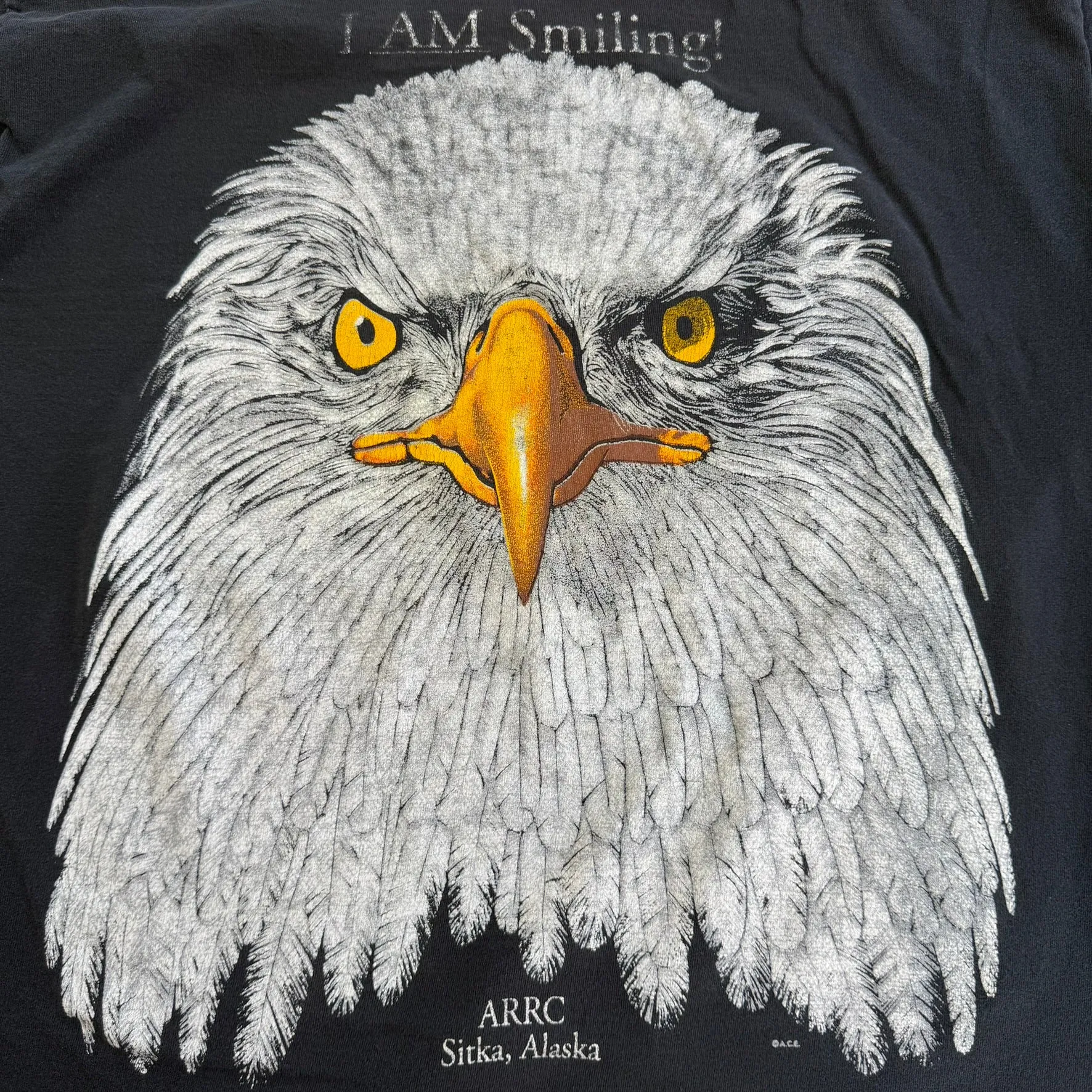 J- Vintage Sitka Alaska I Am Smiling Eagle Graphic Single Stitch Tee - XL sold by HG Vintage product image thumbnail 2