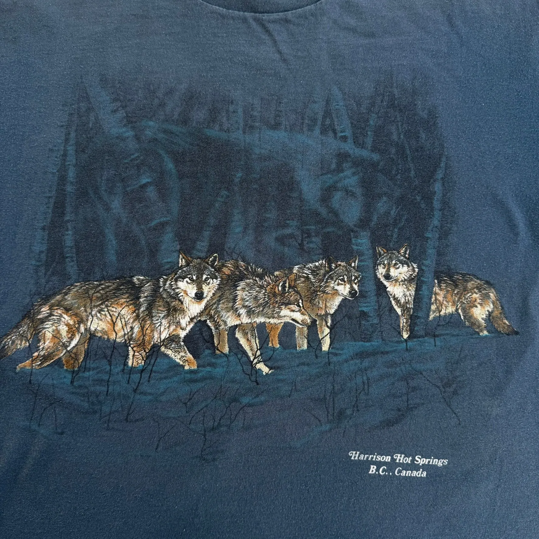 J- Vintage Harrison Hot Springs BC Wolves Graphic Single Stitch Tee - M sold by HG Vintage product image thumbnail 2